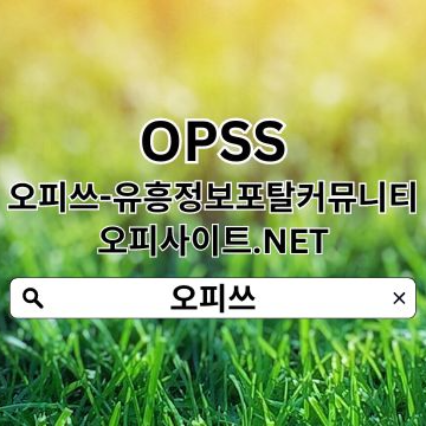 일산오피 오피쓰COM  오피쓰 일산안마﹊일산오피 일산휴게텔 일산출장샵ꗀ일산오피