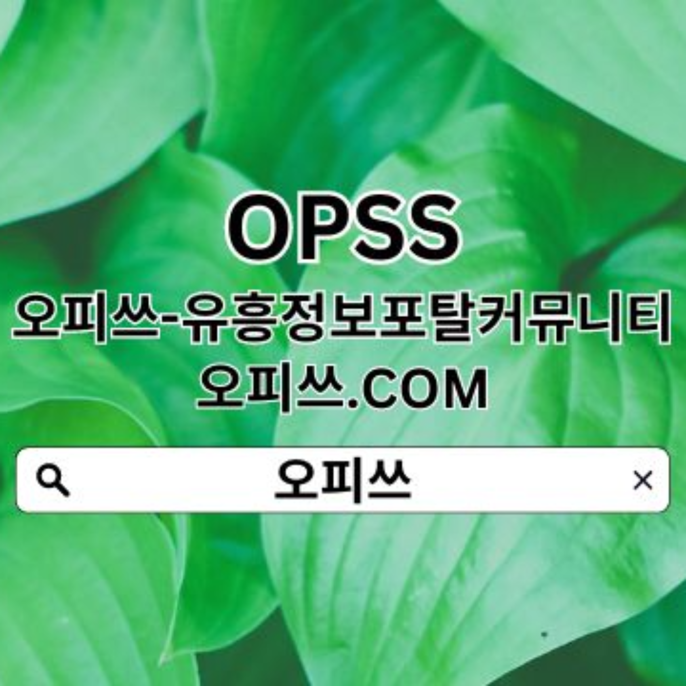 미아오피【오피쓰.C0M】미아건마 오피쓰 미아오피 미아스파 미아오피▾미아출장마사지 podcast artwork