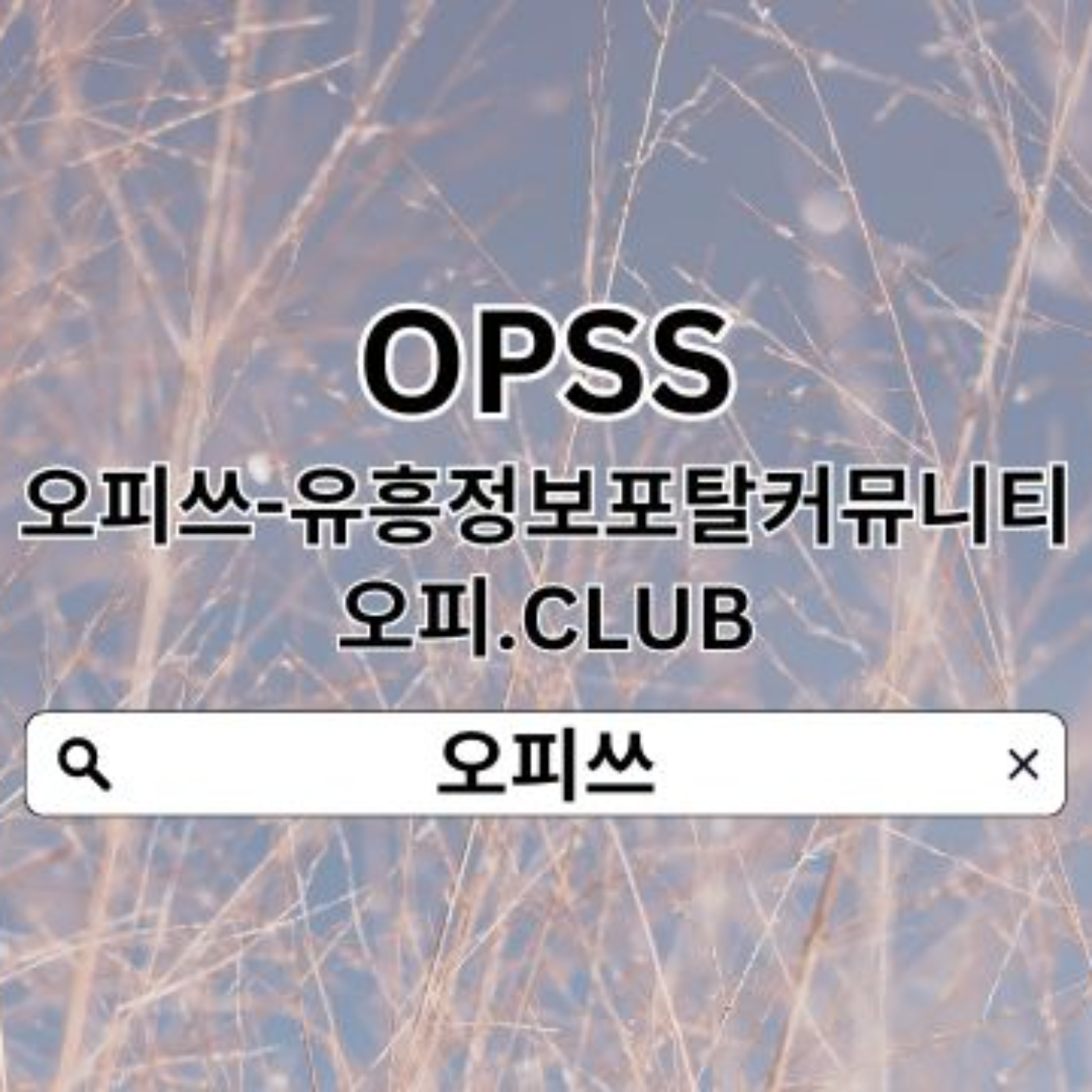 노원휴게텔 오피쓰.ᑕ0ᗰ 노원건마 오피쓰 노원휴게텔⍚노원스파 노원휴게텔►노원출장샵