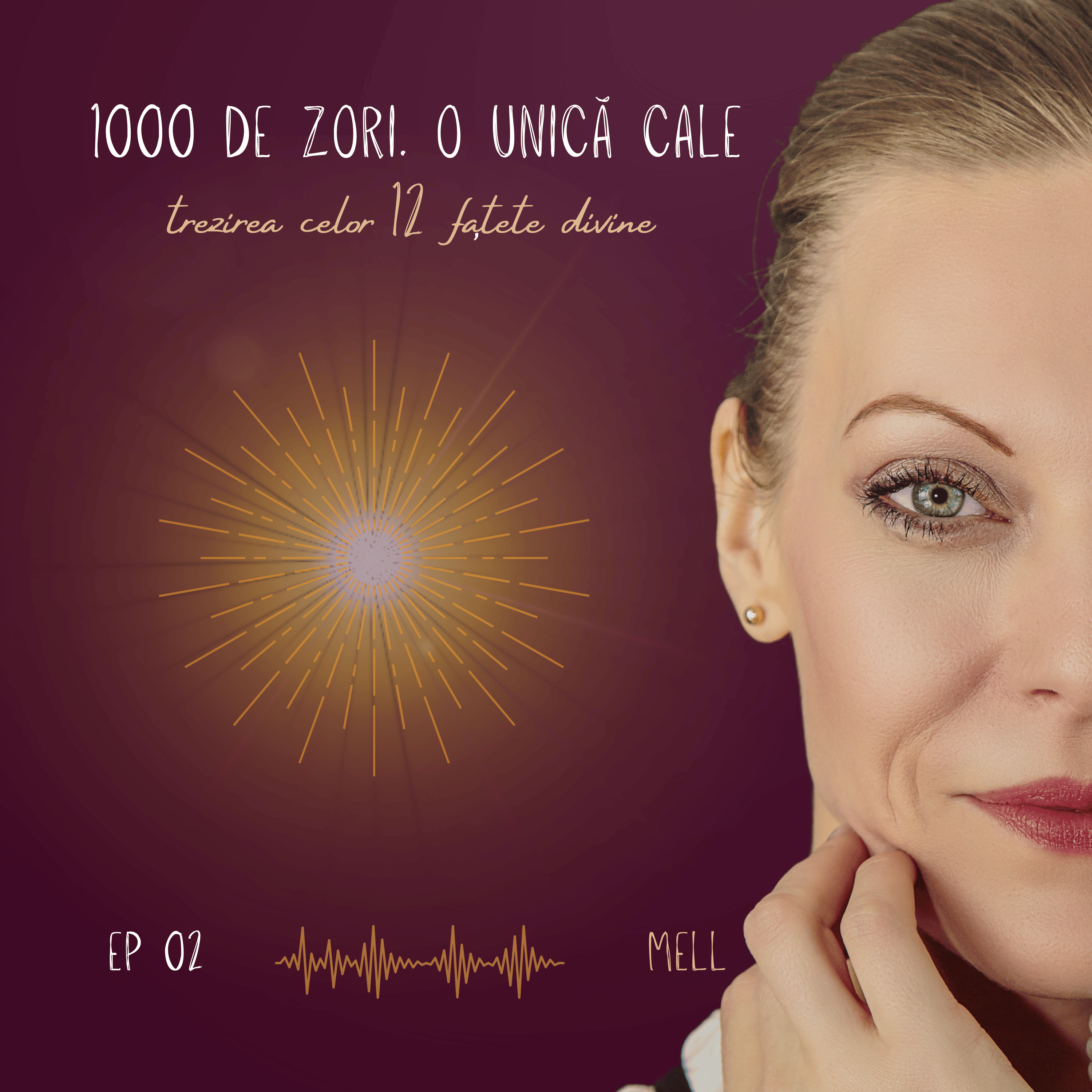 Ziua 2 – Dizolvarea furiei și interogarea gândurilor episode artwork