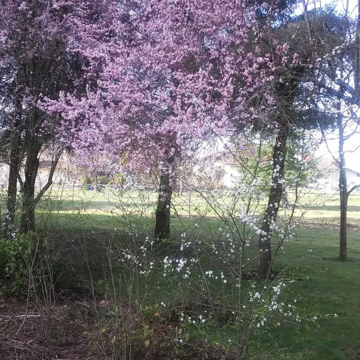 ITS ALL JAZZ, SMOOTH JAZZ! on 108.3 WGKSRADIO