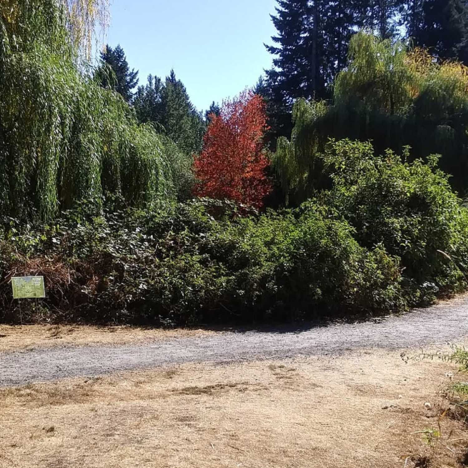 SILKY SMOOTH JAZZ & SLOW JAMS AFTER DARK! on 108.3 WGKSRADIO, LETS GET IT ON! show 1949