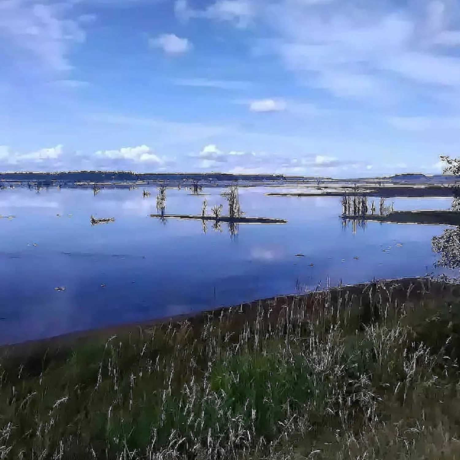 THE LAST SHOW OF THE YEAR, 2078 - SILKY SMOOTH JAZZ, on 108.3 WGKSRADIO, Season 8 kickoff!