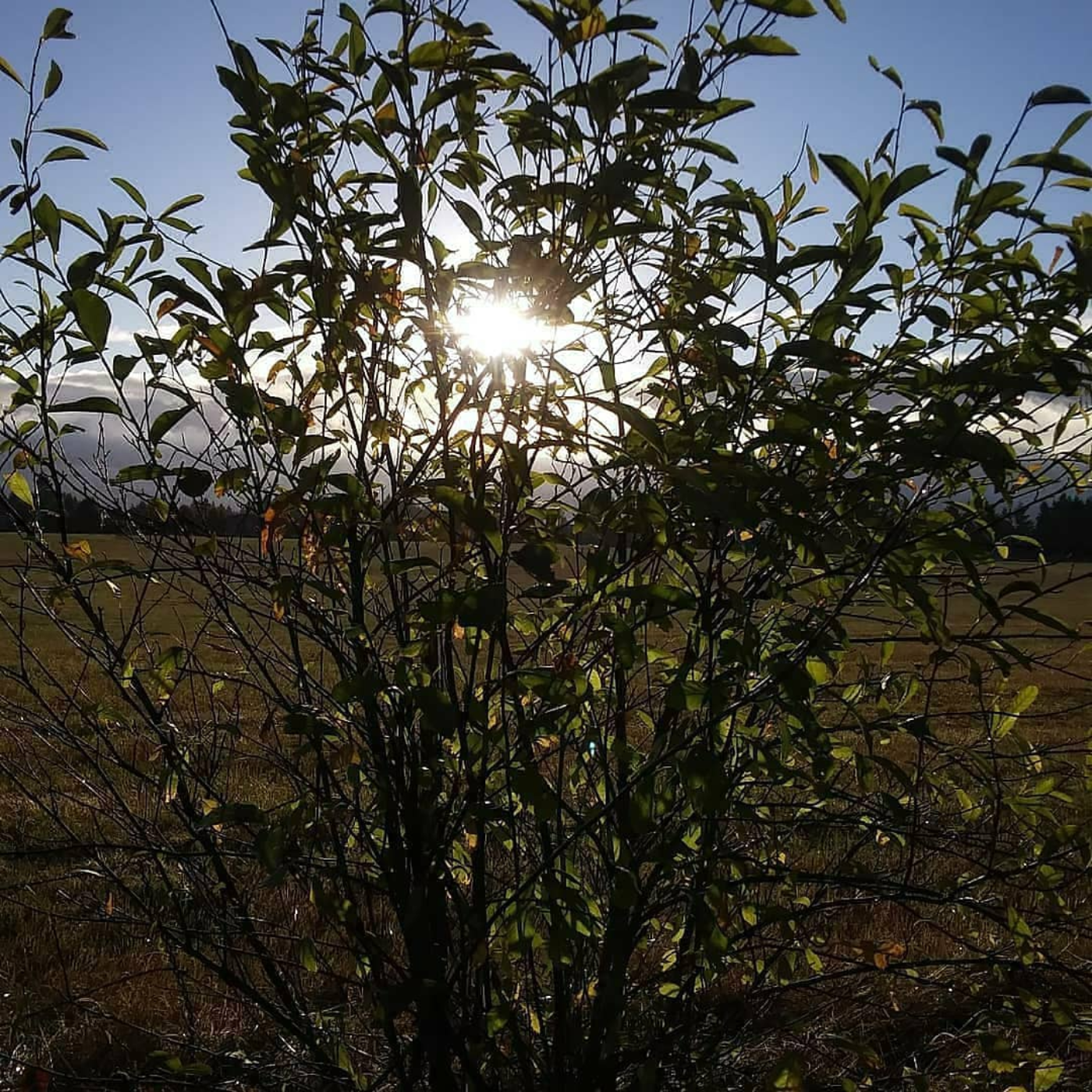 we did Silky & Smooth, Jazz, on 108.3 WGKSRADIO show 2146