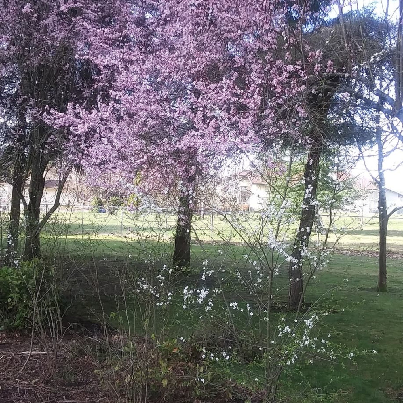 BRINGIN U SILKY SMOOTH JAZZ for an Hour, on 108.3 WGKSRADIO, Show2198