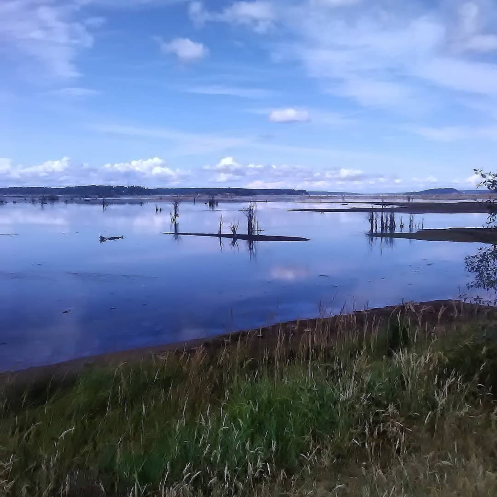 Last Show for 2026 ANYTHING GOES MON!   108.3 WGKSRADIO Show 2630