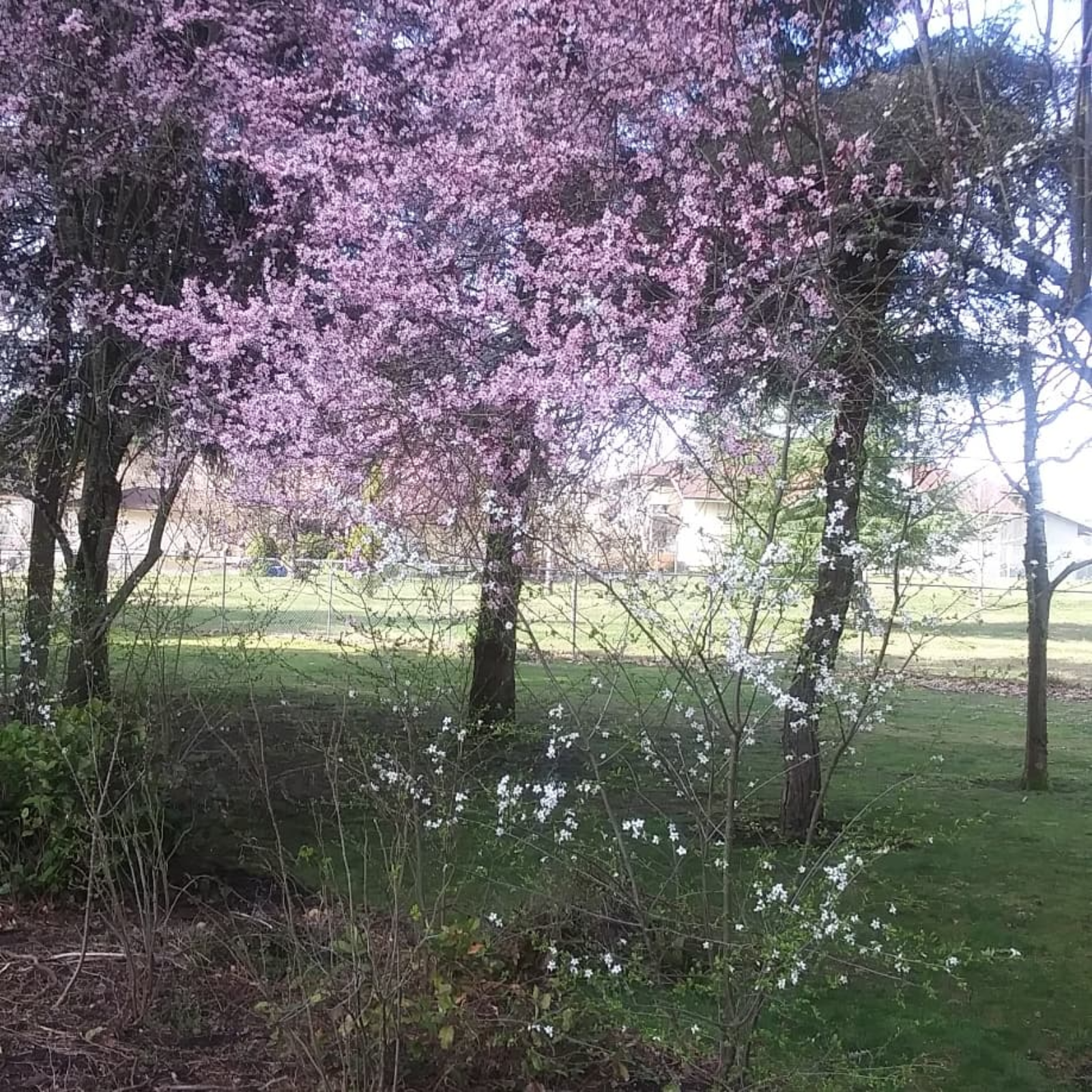 ITS YOUR SILKY SMOOTH JAZZ on  108.3 WGKSRADIO Show 2638