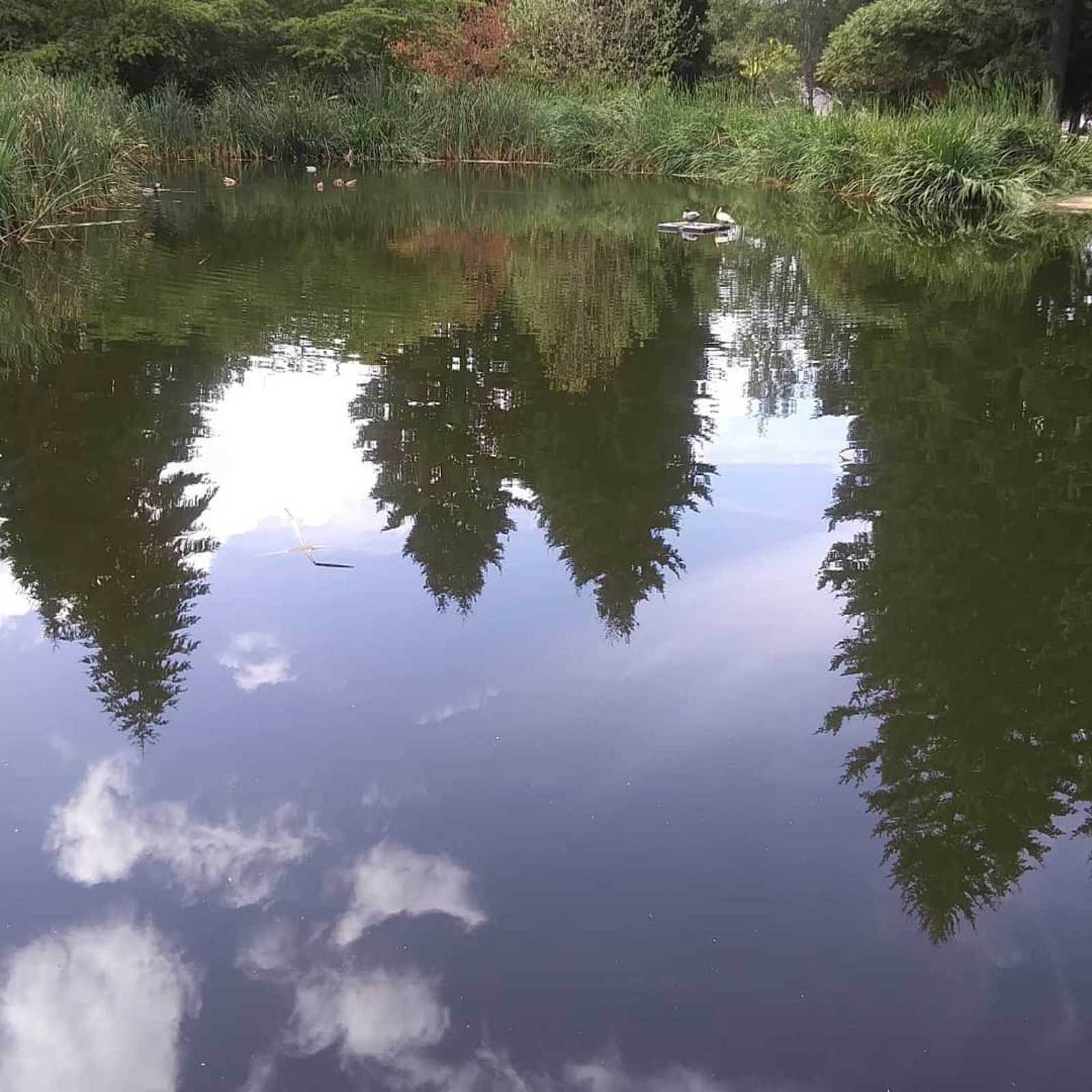 GRAB YOUR COCKTAIL! IT'S SILKY SMOOTH JAZZ ON 108.3 wGKSRADIO show 2663