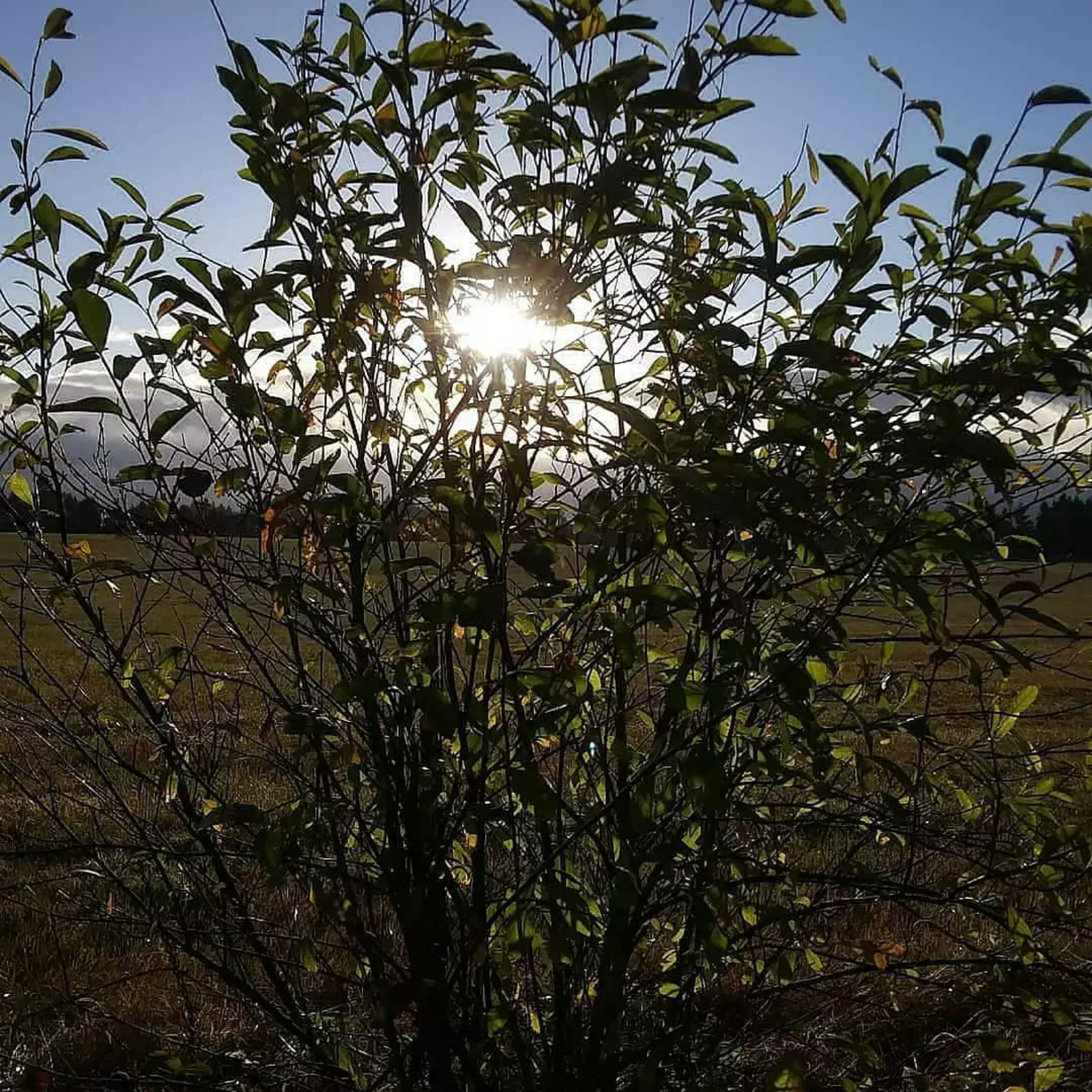 GRAB A COCKTAIL, ITS SILKY SMOOTH JAZZ! 108.3 WGKSRADIO show 2675