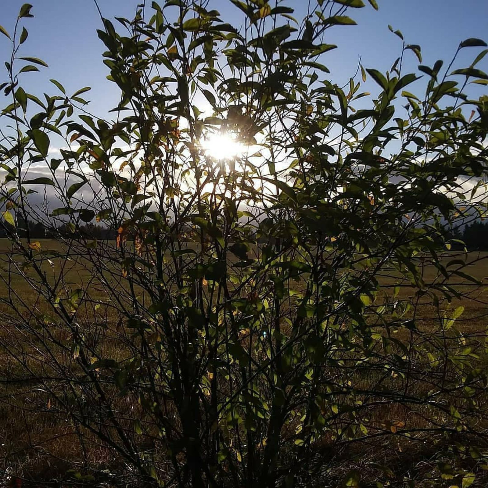 ITS SILKY SMOOTH JAZZ with a TASTE of R&B 108.3 WGKSRADIO show 2681