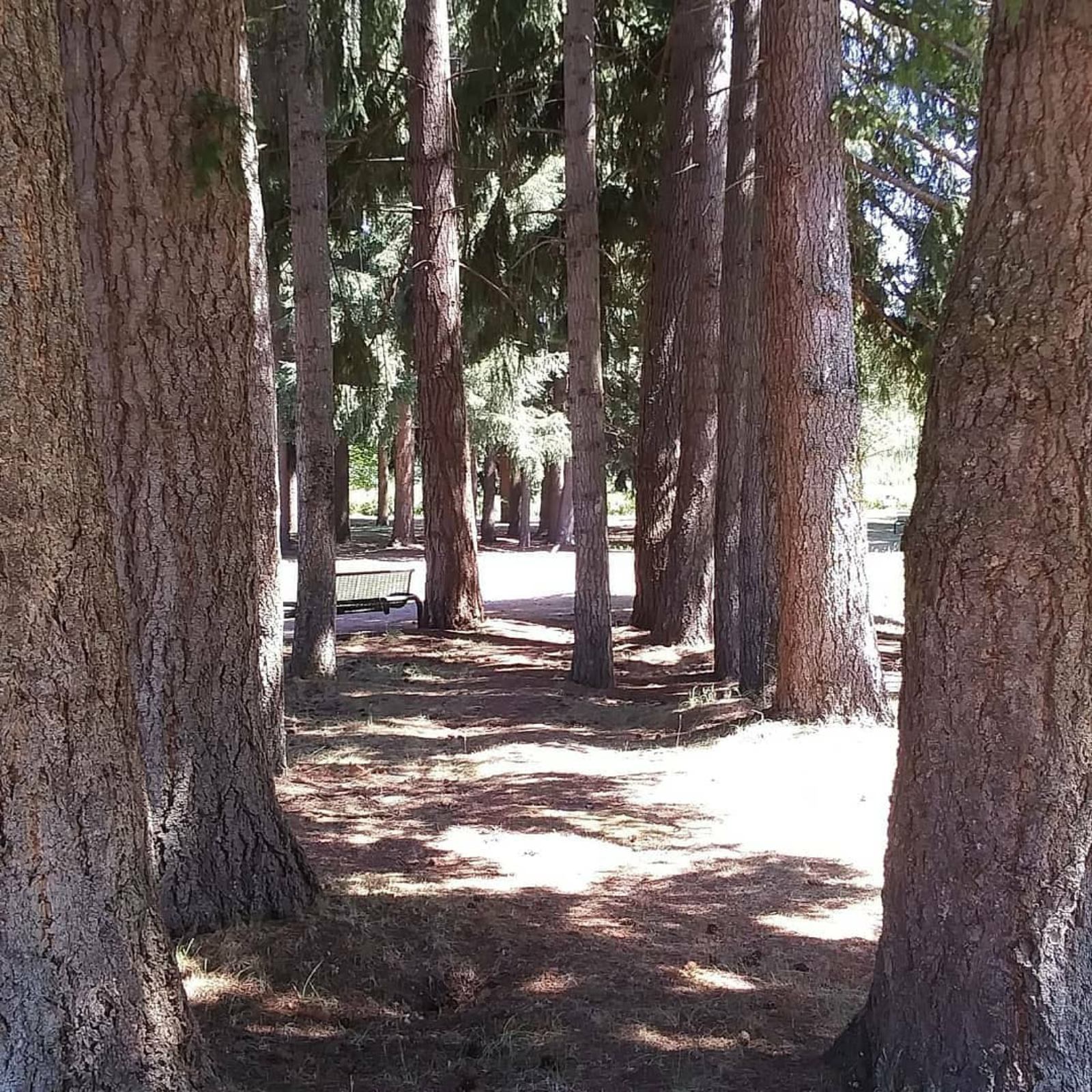 IT'S  SILKY SMOOTH JAZZ, Cocktail & Relax Time,  on 108.3WGKSRADIO show 2705