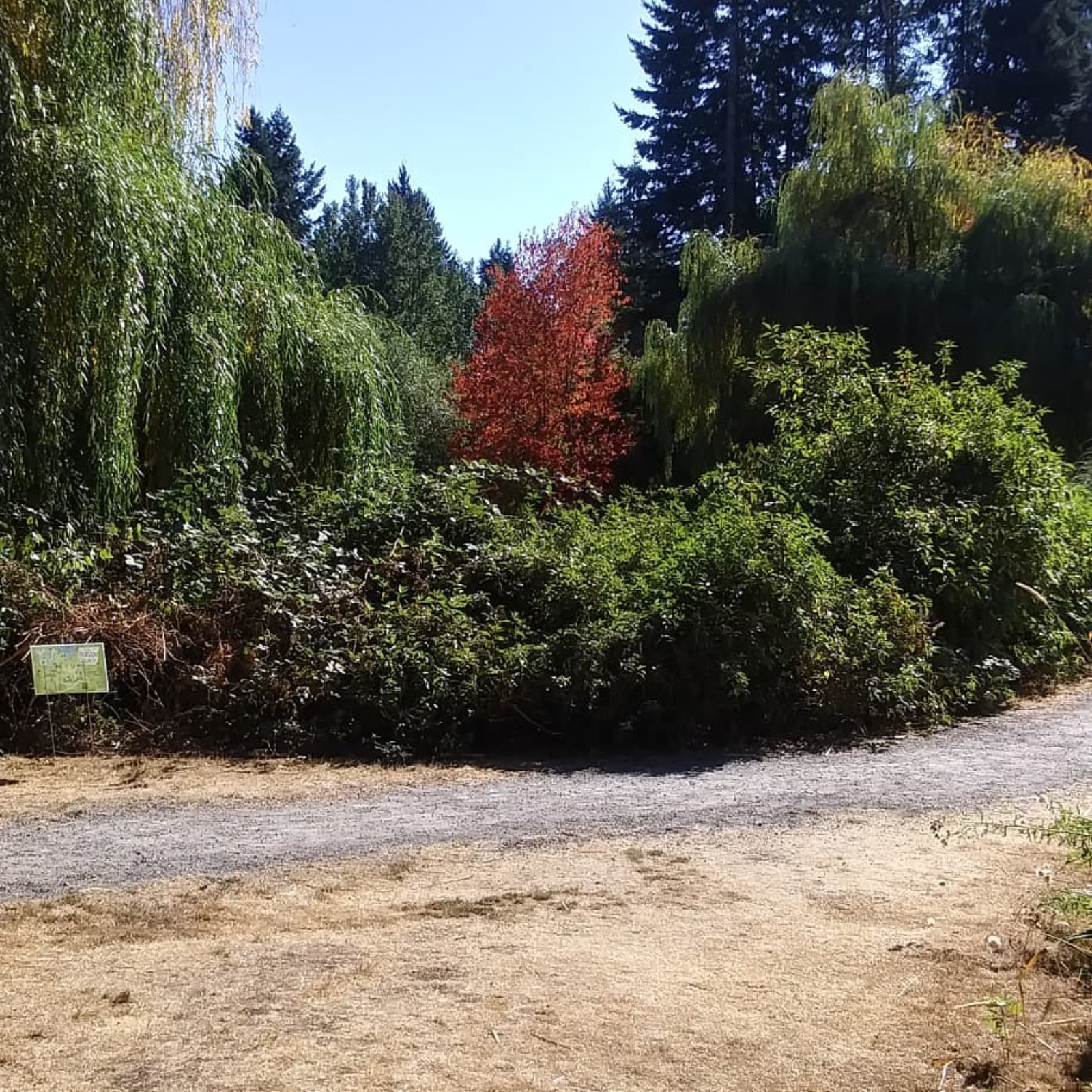 SILKY SMOOTH JAZZ, FEAT. #1 BILLBOARD ARITST, MICHAEL J THOMAS! on 108.3WGKSRADIO show 2710