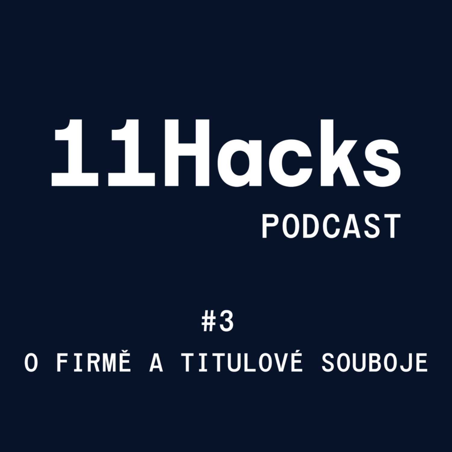 11Hacks Podcast #3 O firmě 11Hacks a titulové souboje  w/ Luděk Mádl