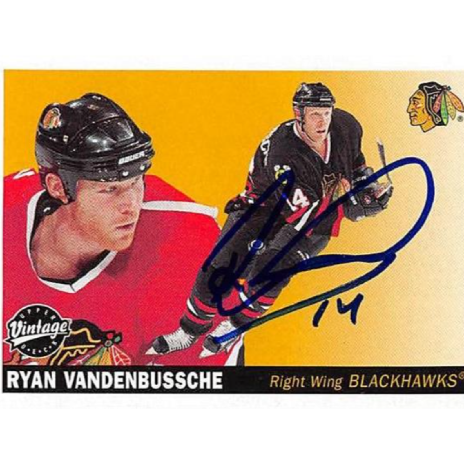 1973 Podcast 🎙️ Episode 143 – Ryan VandenBussche: Life in the Trenches of the NHL #hockey