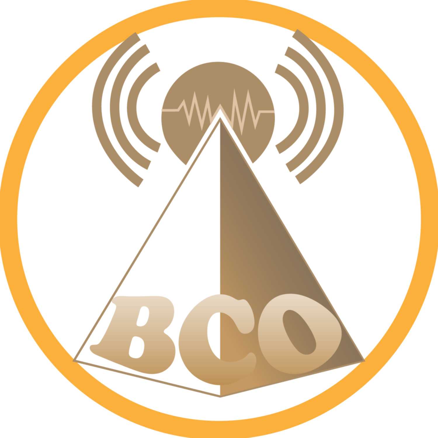 Diario el Uno de Tehuacán