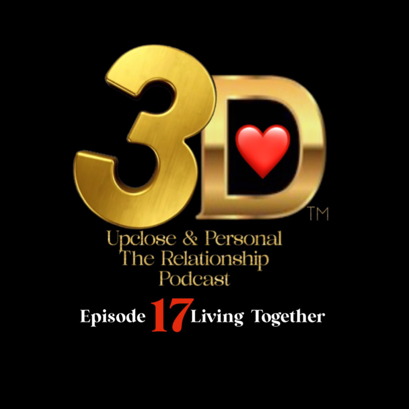 3D S1 E17 Living Together 