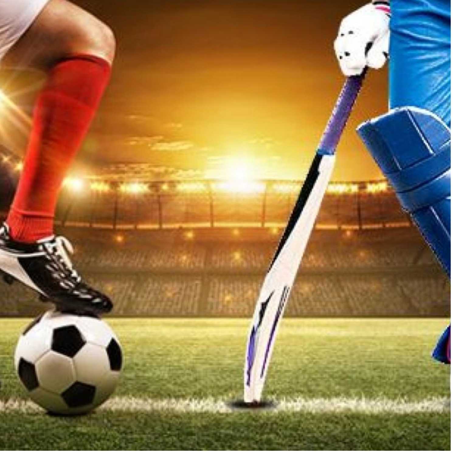 1 wicket, 1 goal
