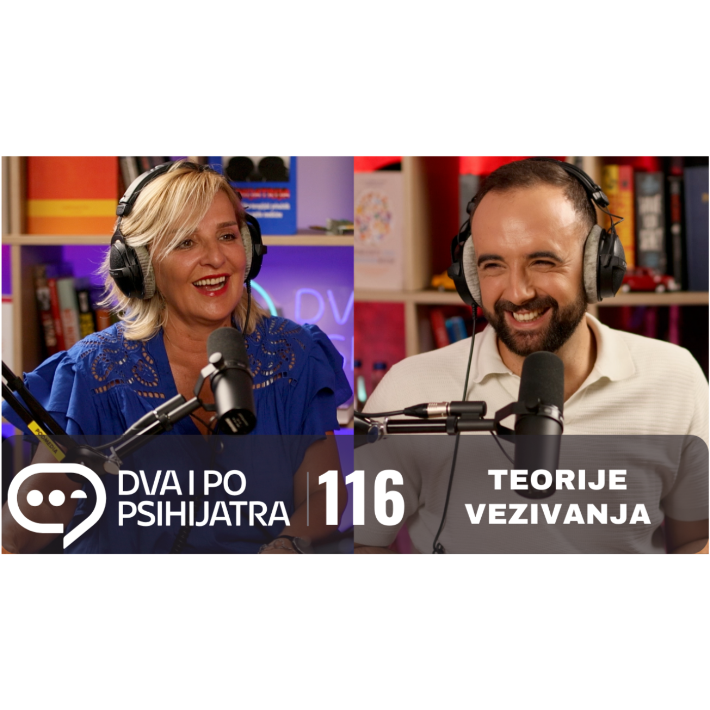 116 - Teorije vezivanja