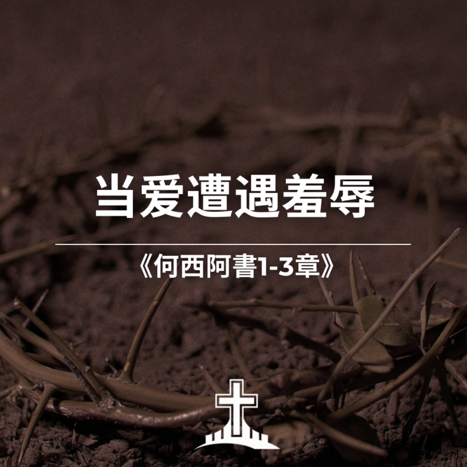当爱遭遇羞辱 《何西阿书1-3章》 episode artwork