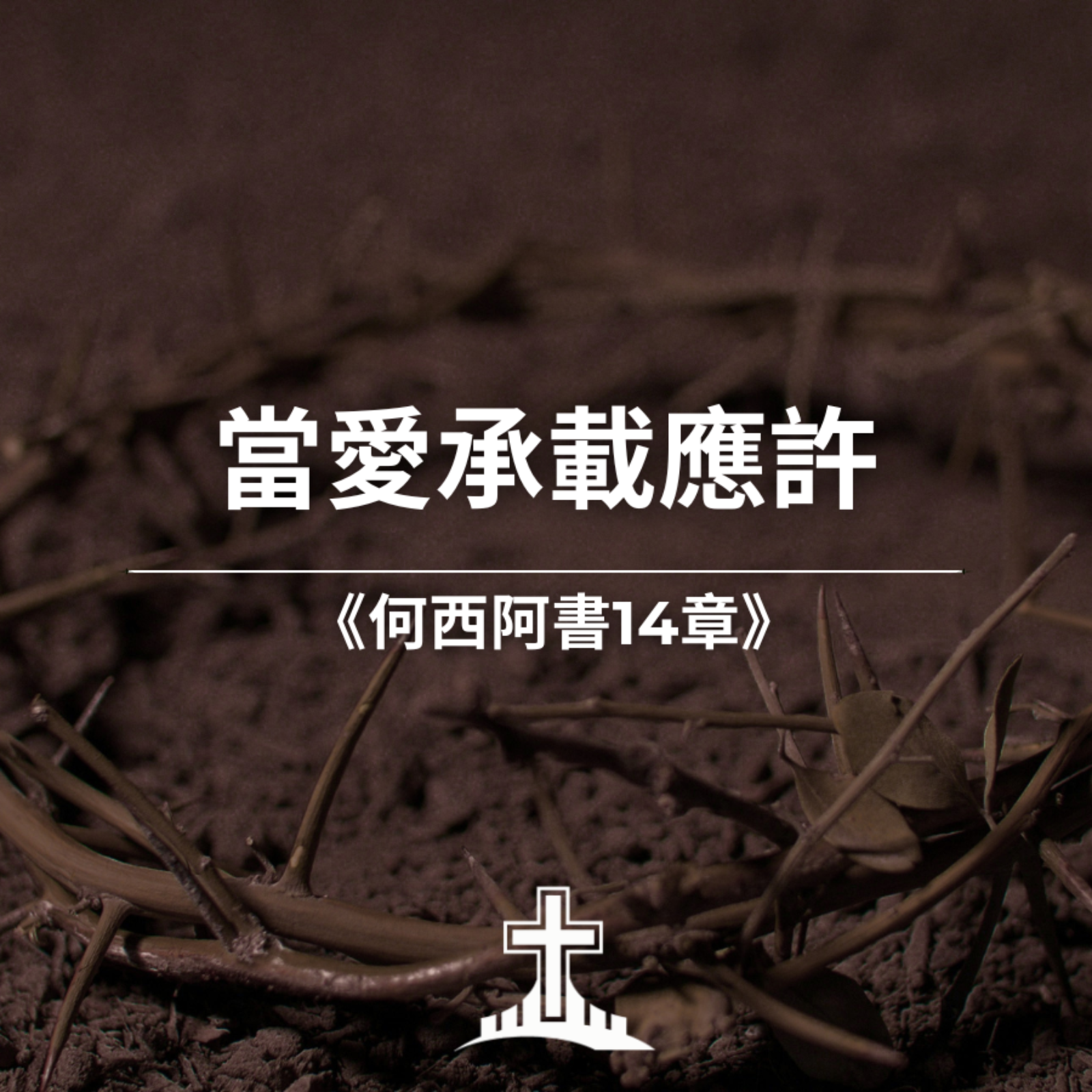 當愛承載應許《何西阿書14章》 episode artwork