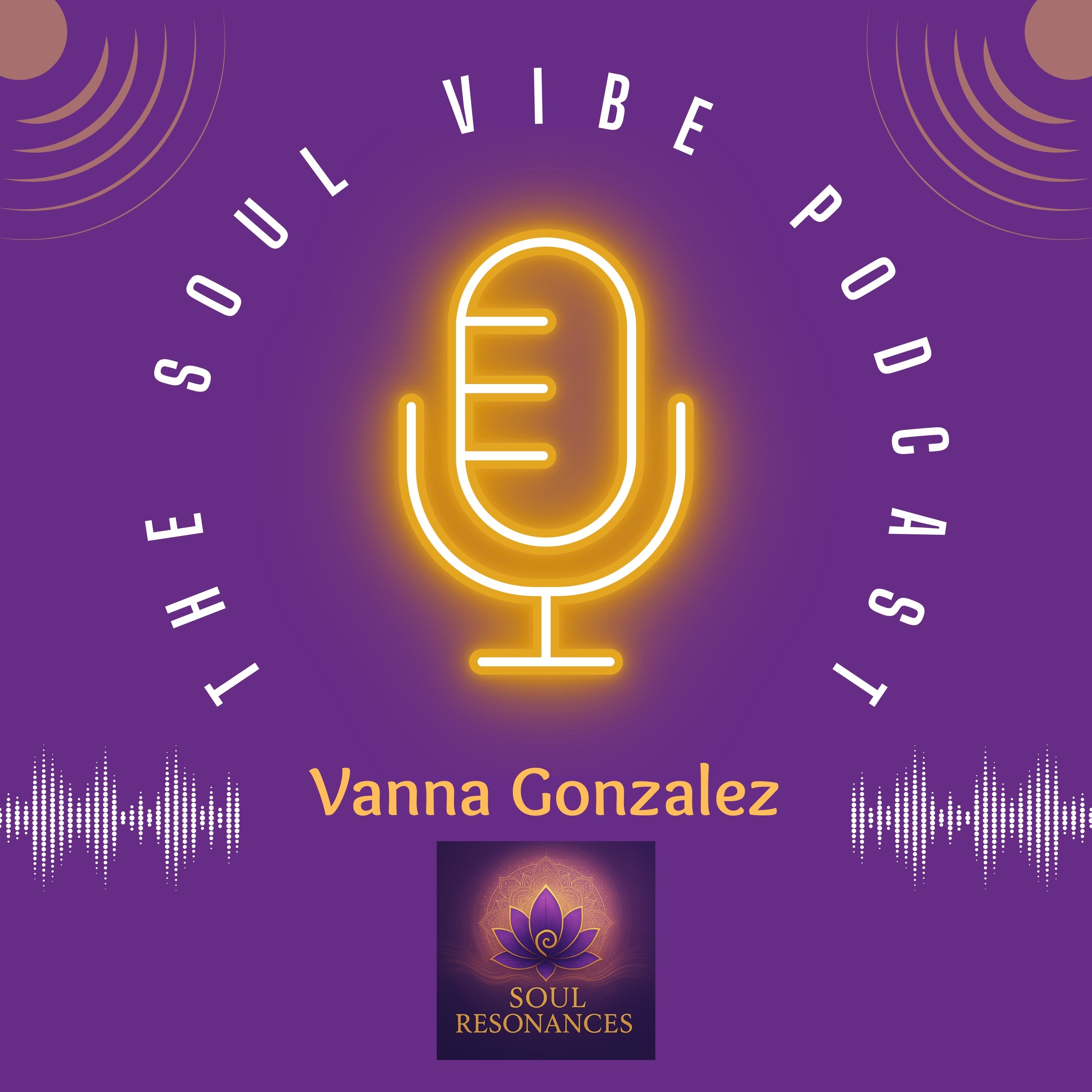 The Soul Vibe Podcast