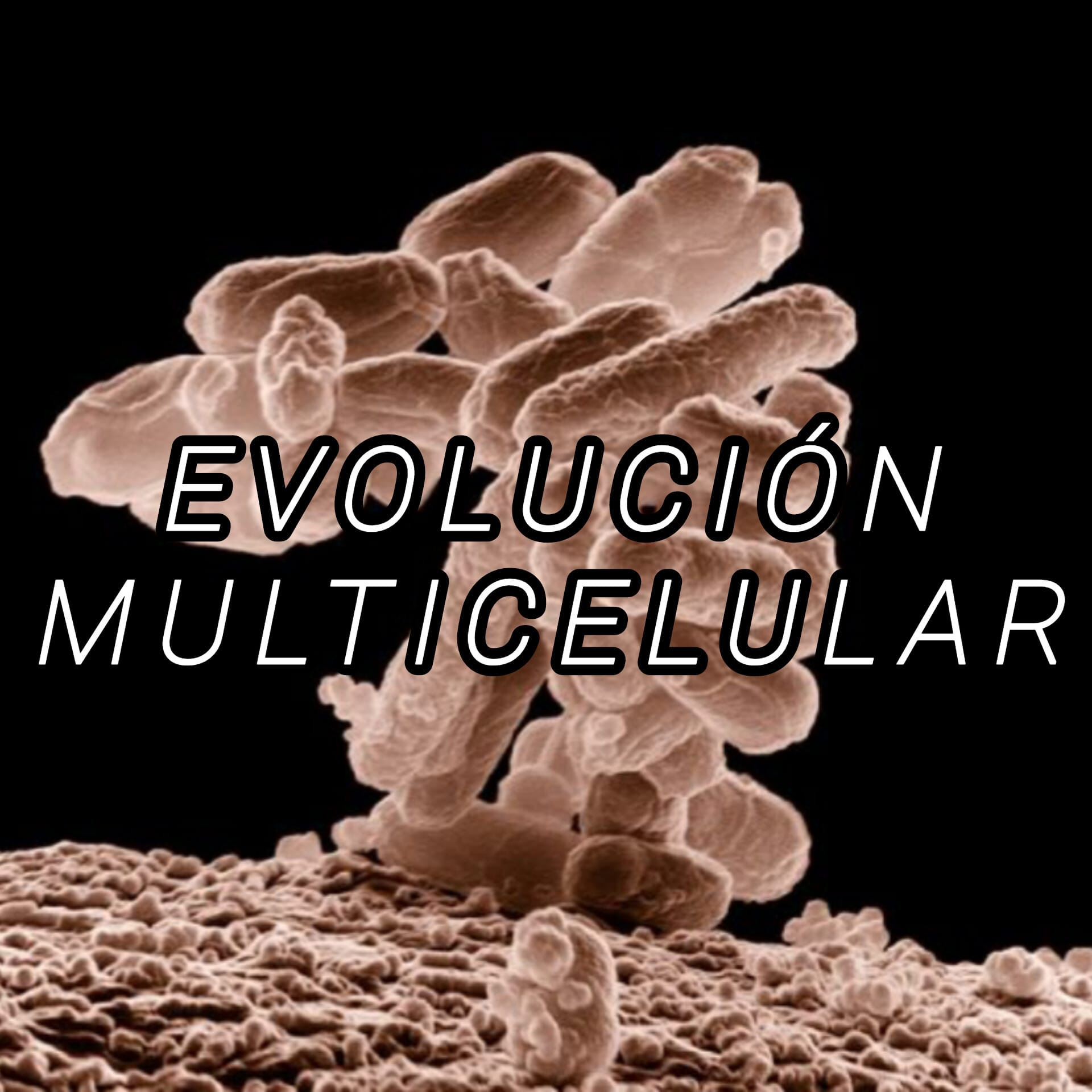 21 segundos contemplando el Universo