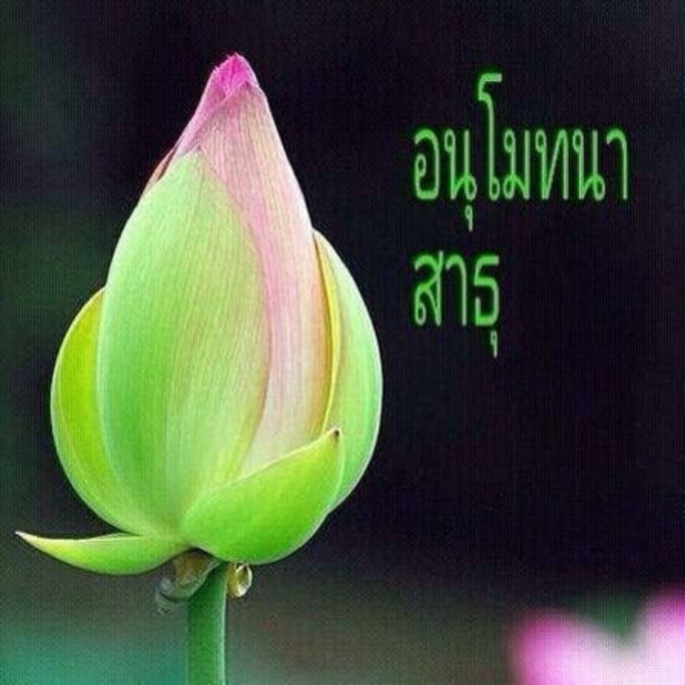 โกเอนก้า(โปรแกรม10วัน)
