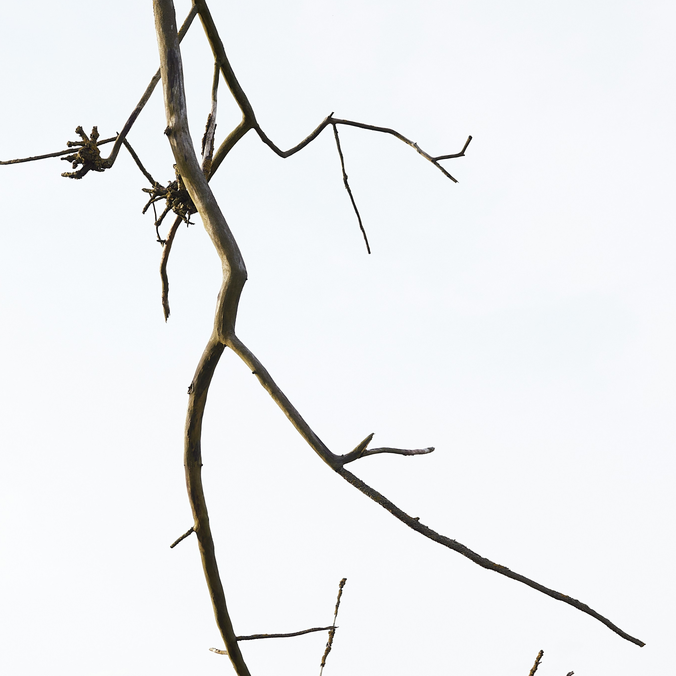 Jean-Paul Sartre - The Quest for the Absolute: On Giacometti's Sculpture