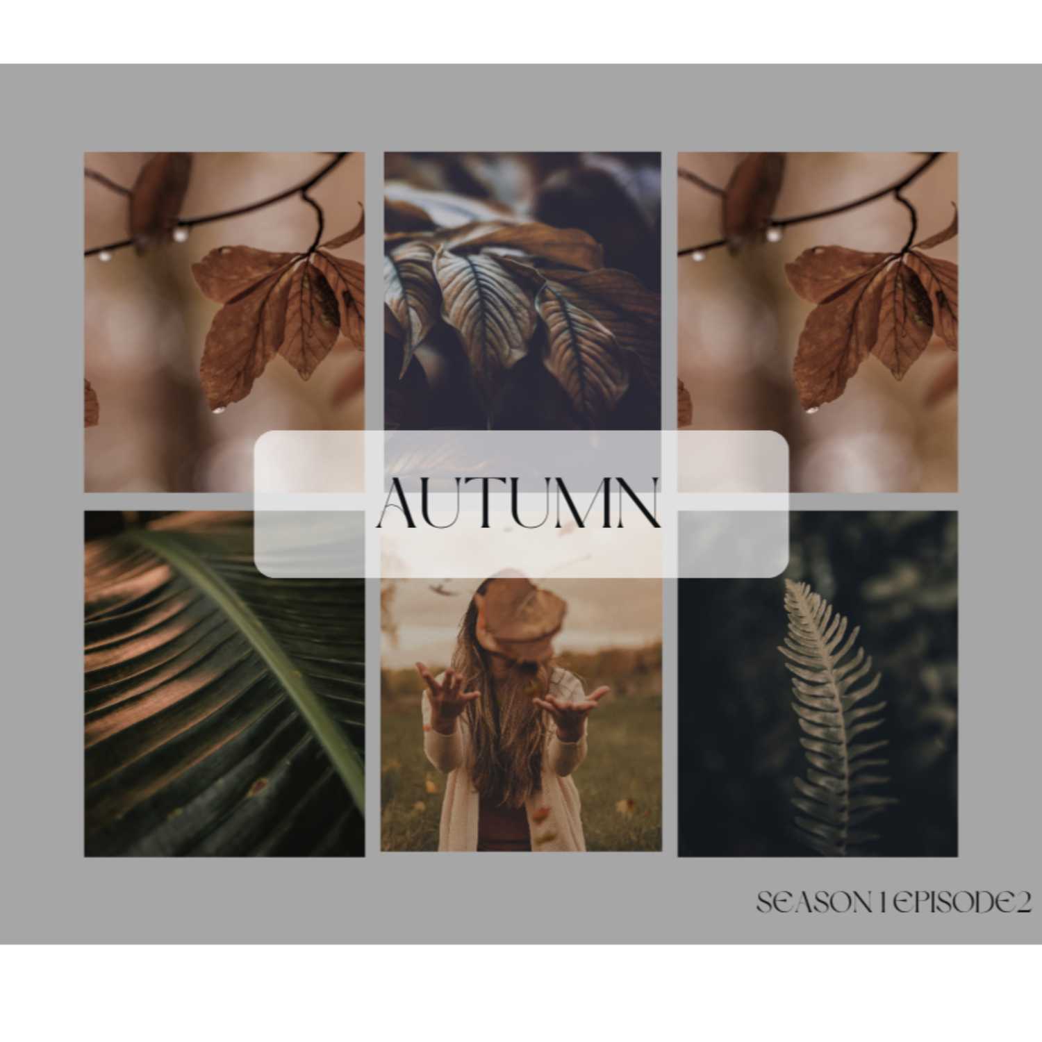 Wandering Musings with AJ + A.Rae  2 Mamas After Dark