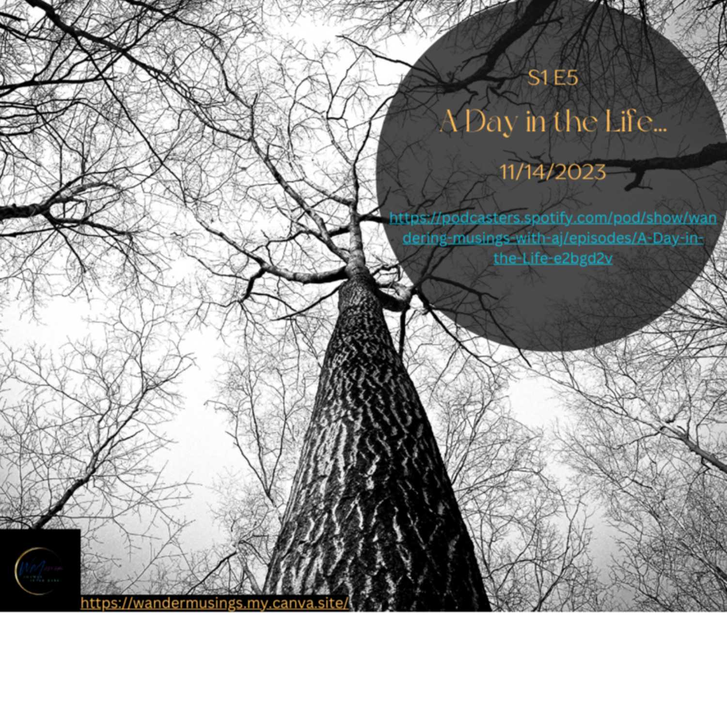 Wandering Musings with AJ + A.Rae  2 Mamas After Dark