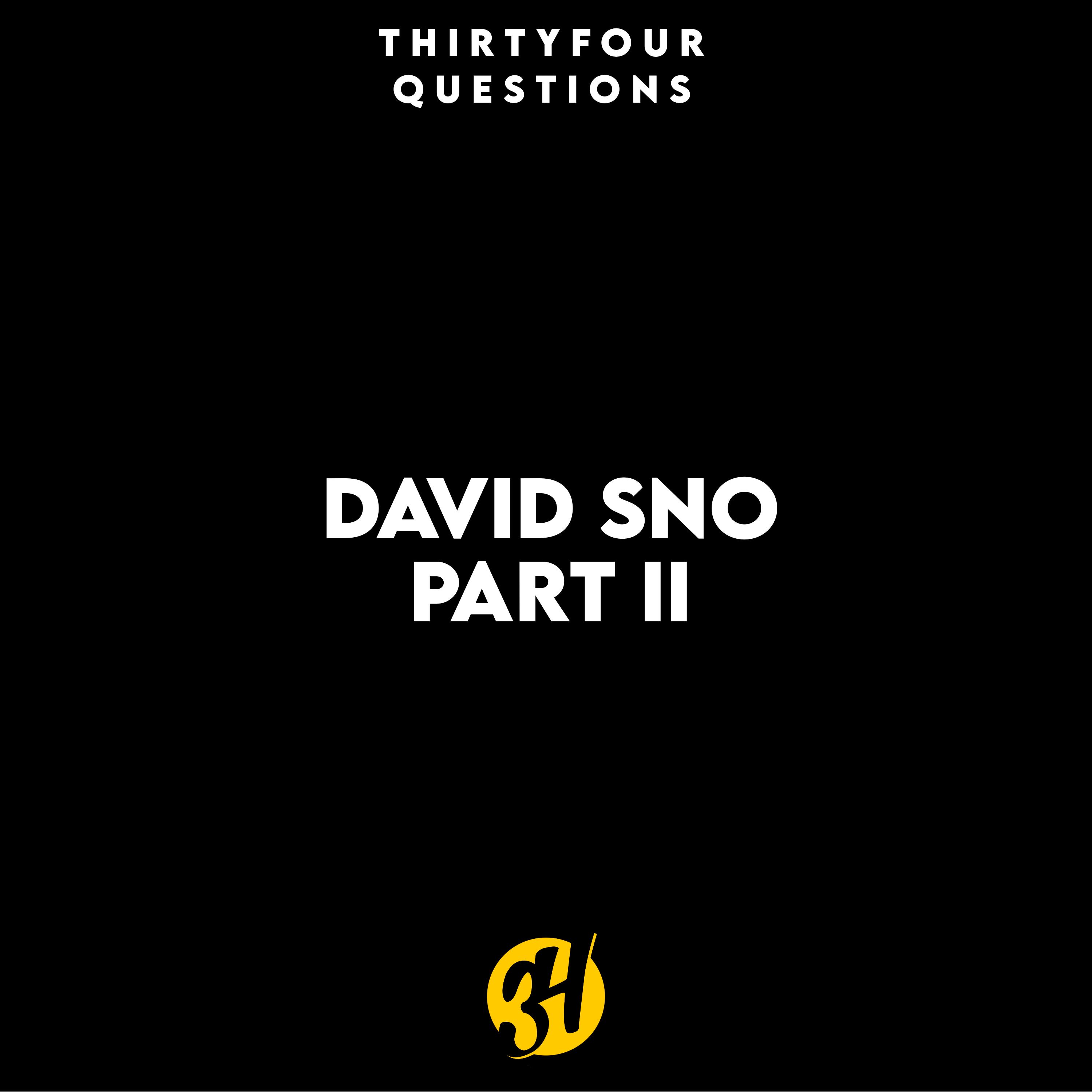 David Sno Pt. II episode artwork