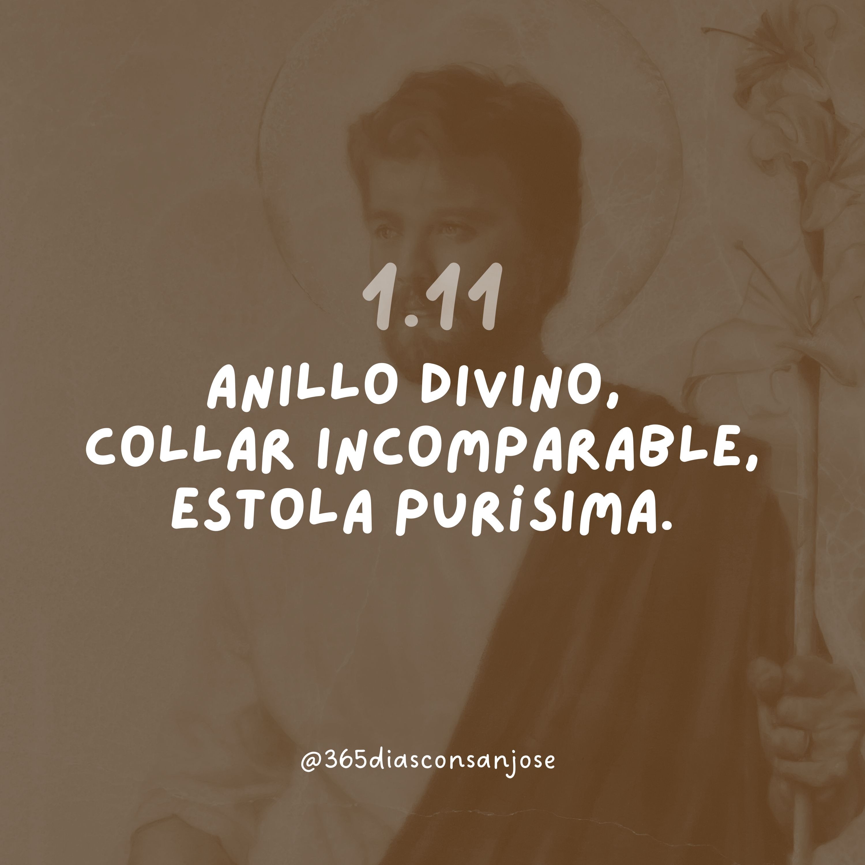 365 días con san José