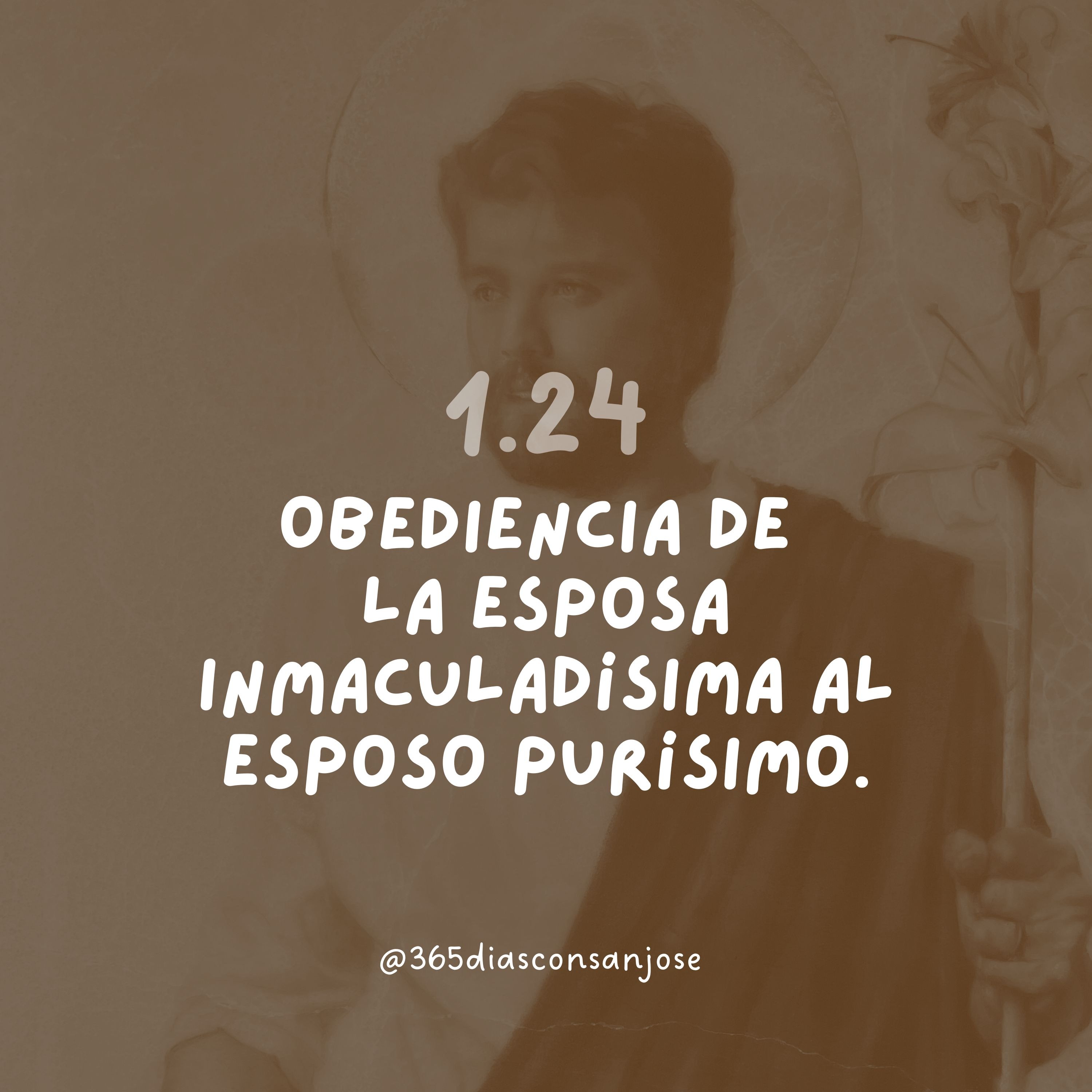 Obediencia de la Esposa Inmaculadísima  al Esposo purísimo. episode artwork