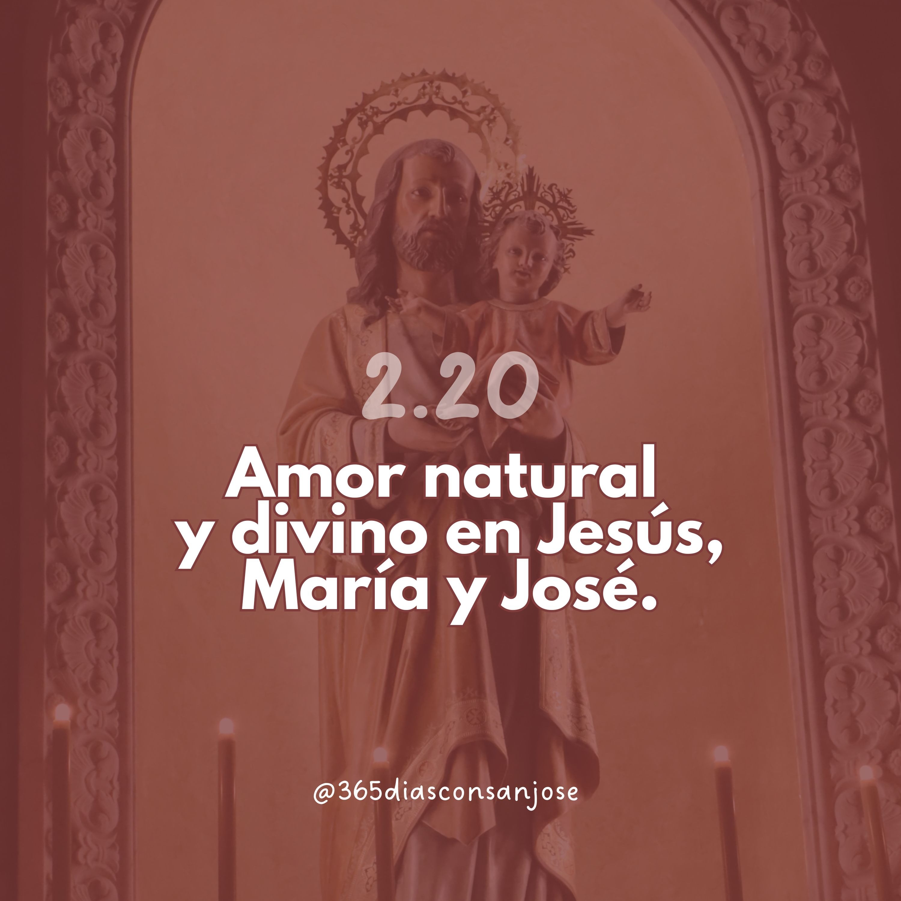 365 días con san José