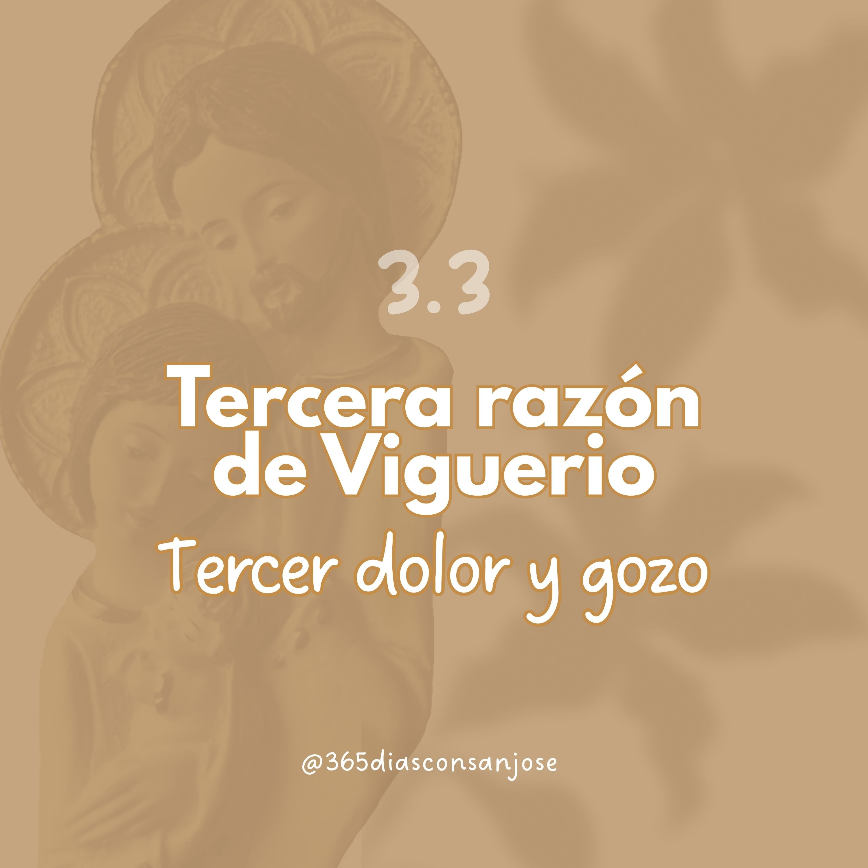 Tercera razón de Viguerio 🙏 Tercer dolor y gozo de san José episode artwork