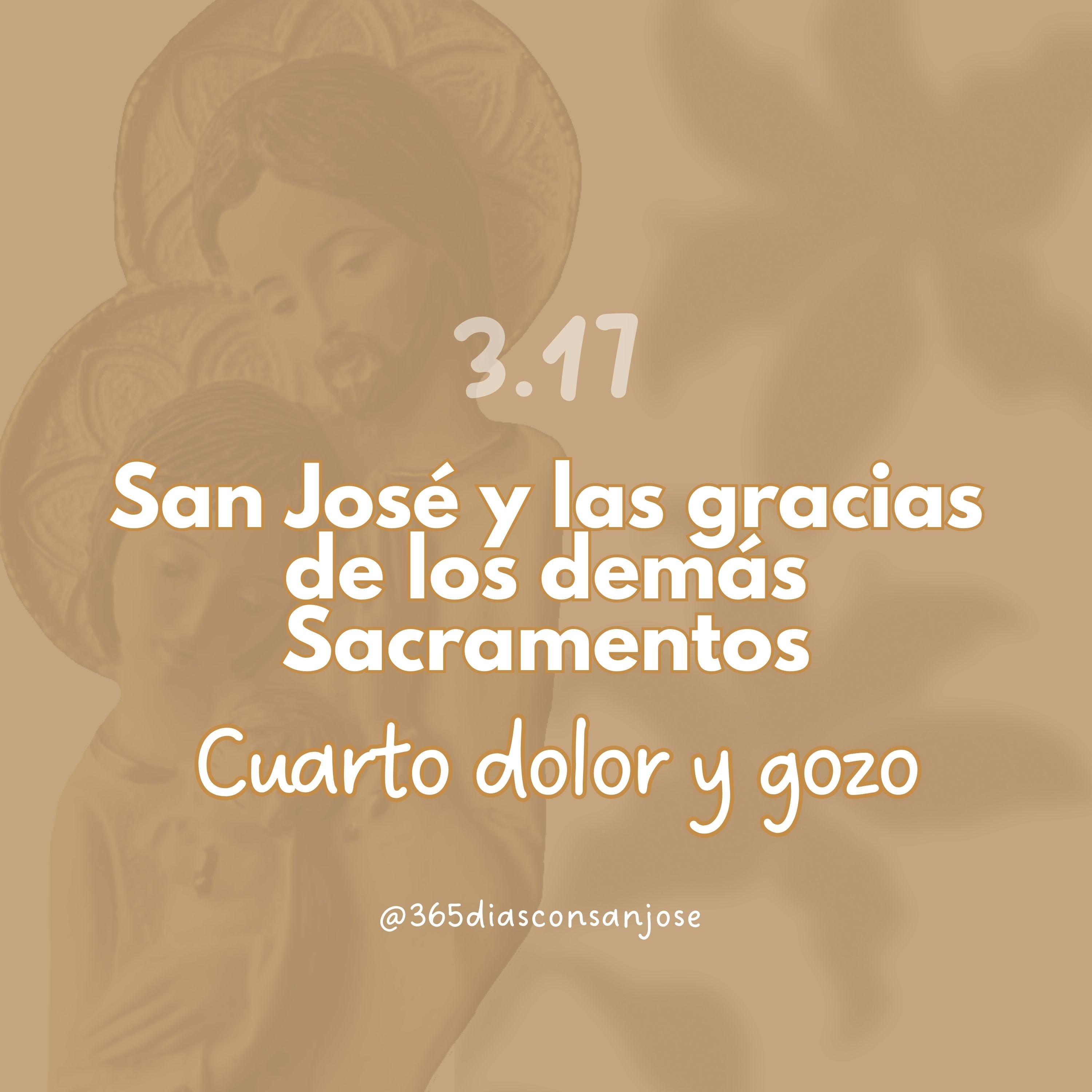 365 días con san José