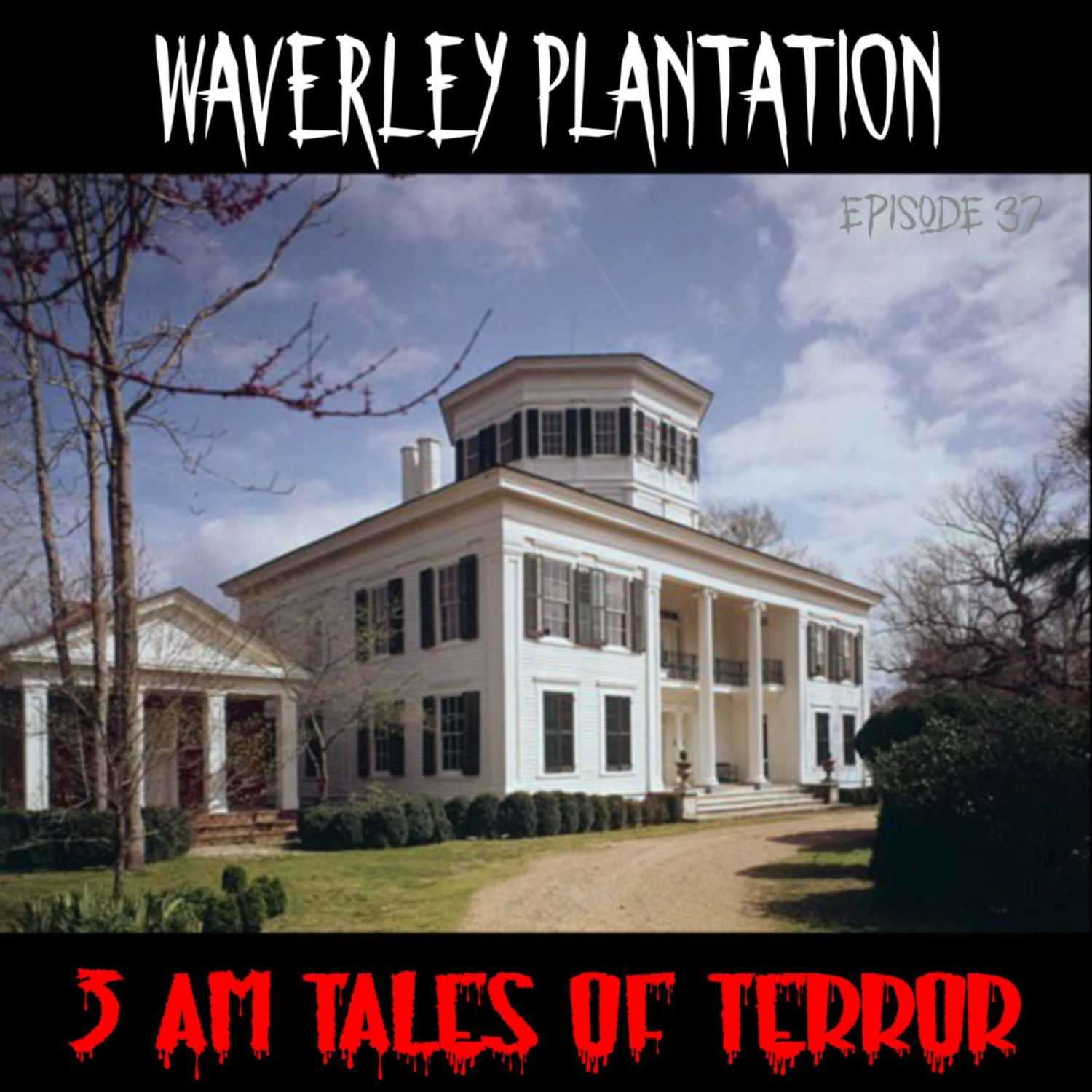 3 AM Tales of Terror