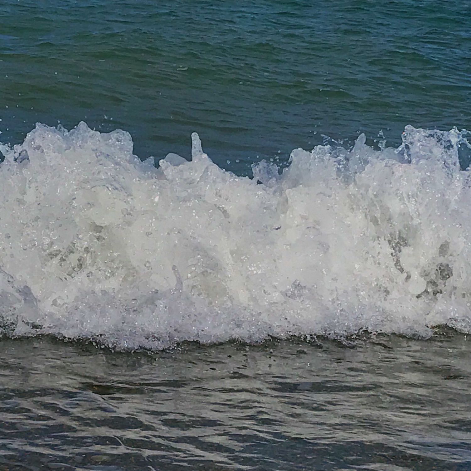 The 3 Veggies cover art