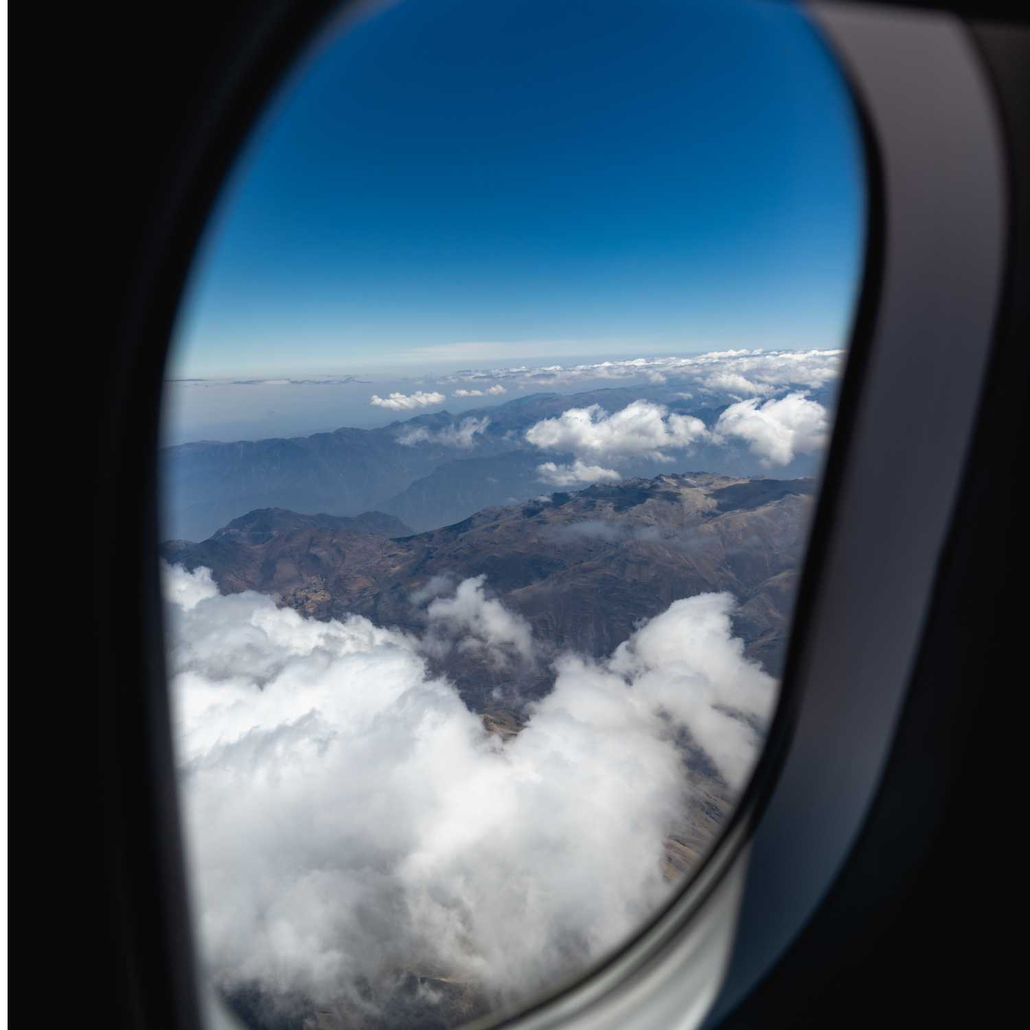 Second Harvest with Chad