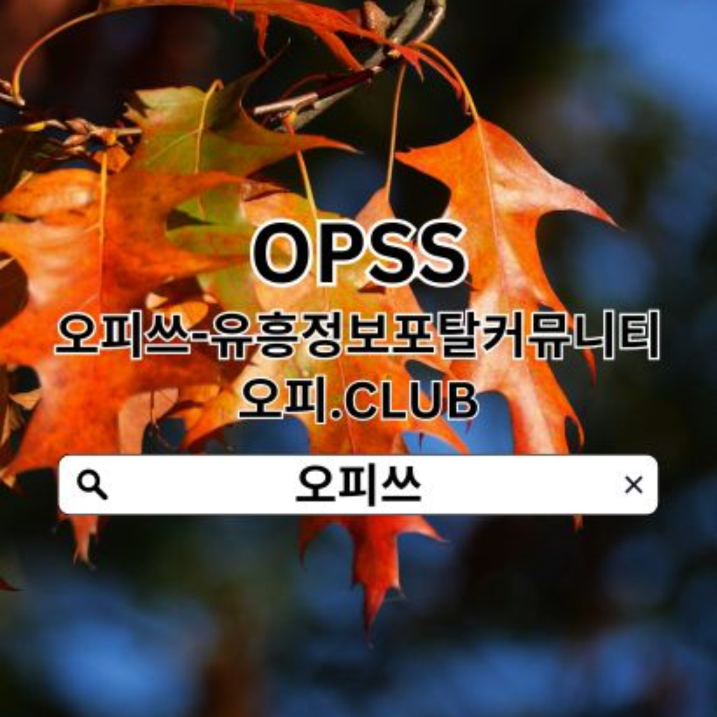 울산휴게텔 오피쓰COM 울산휴게텔  오피쓰 울산안마 울산출장안마ꗕ울산휴게텔☳울산휴게텔 울산마사지 episode artwork