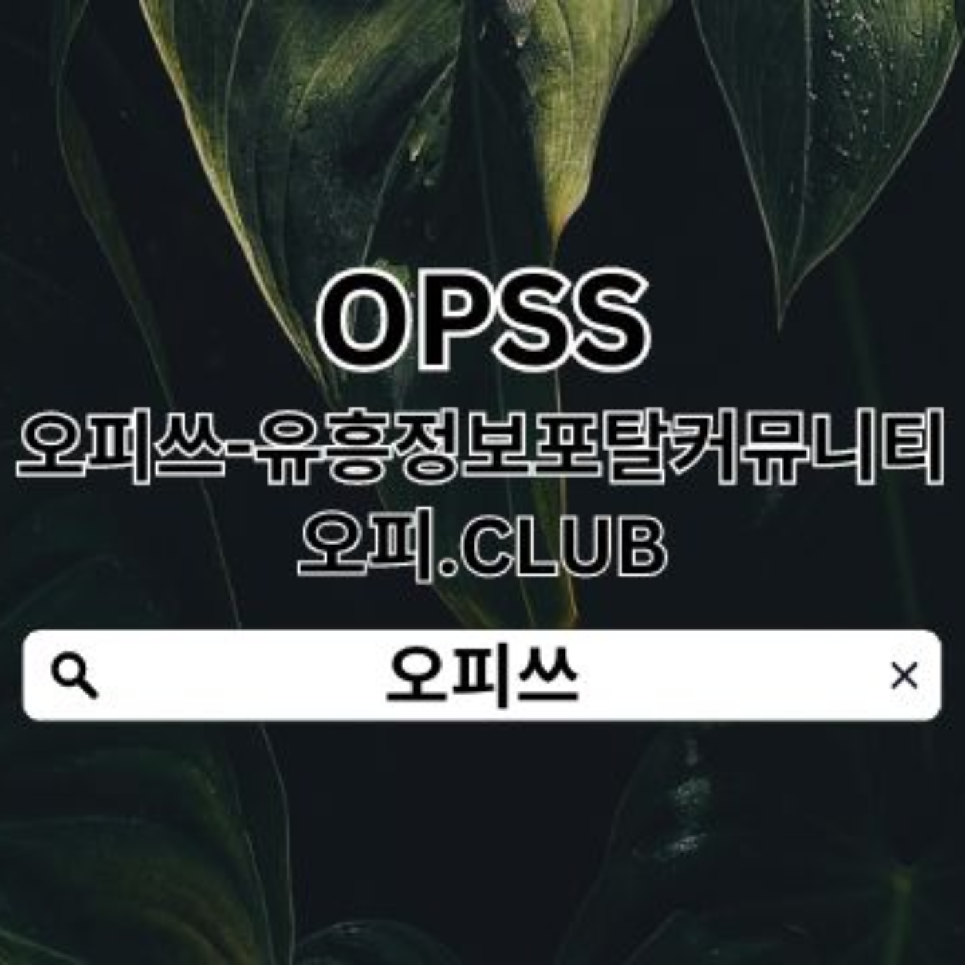 천호오피【오피쓰.C0M】 오피쓰  천호출장안마▼천호오피◄천호마사지◄천호휴게텔 천호키스방 천호오피 podcast artwork