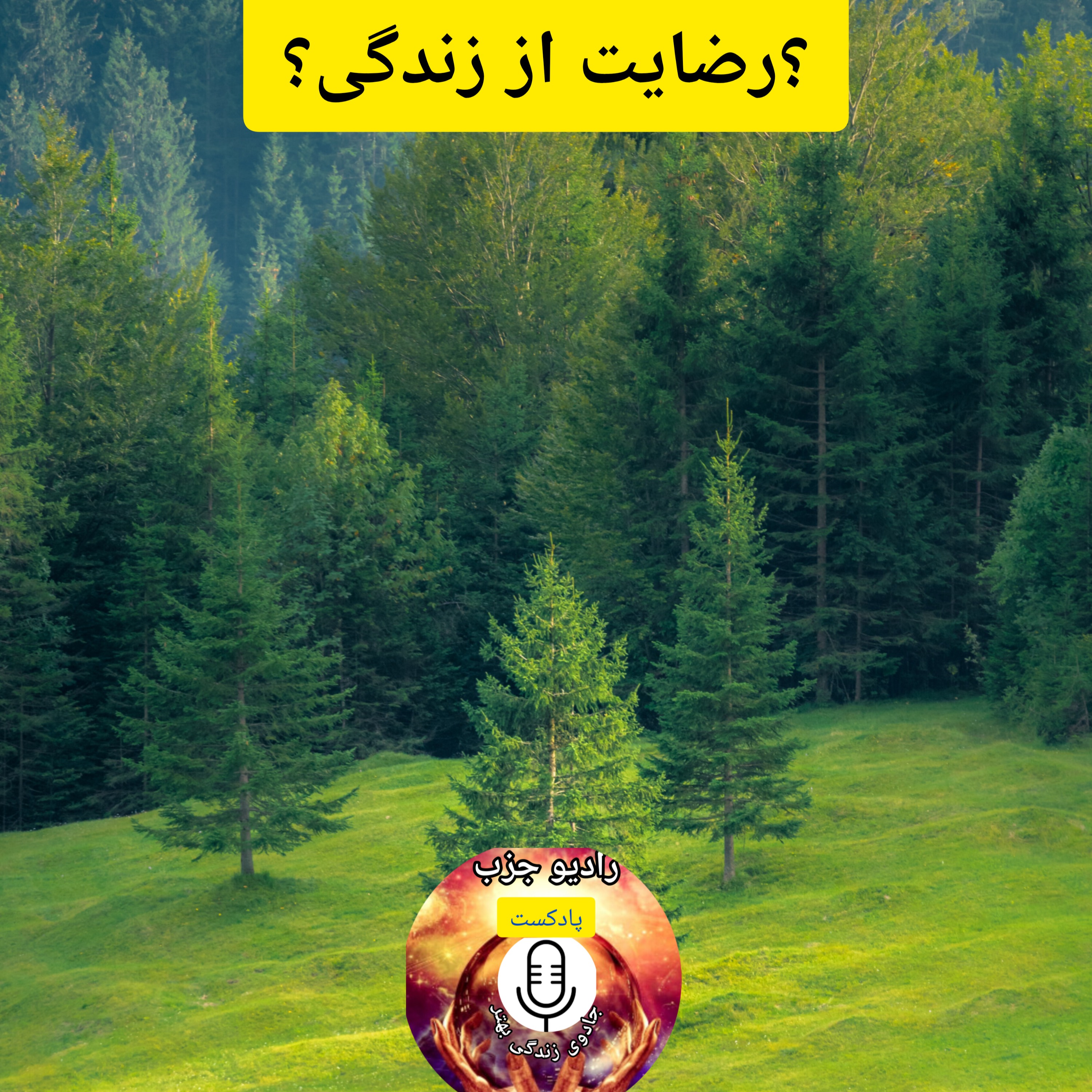 رضایت از زندگی