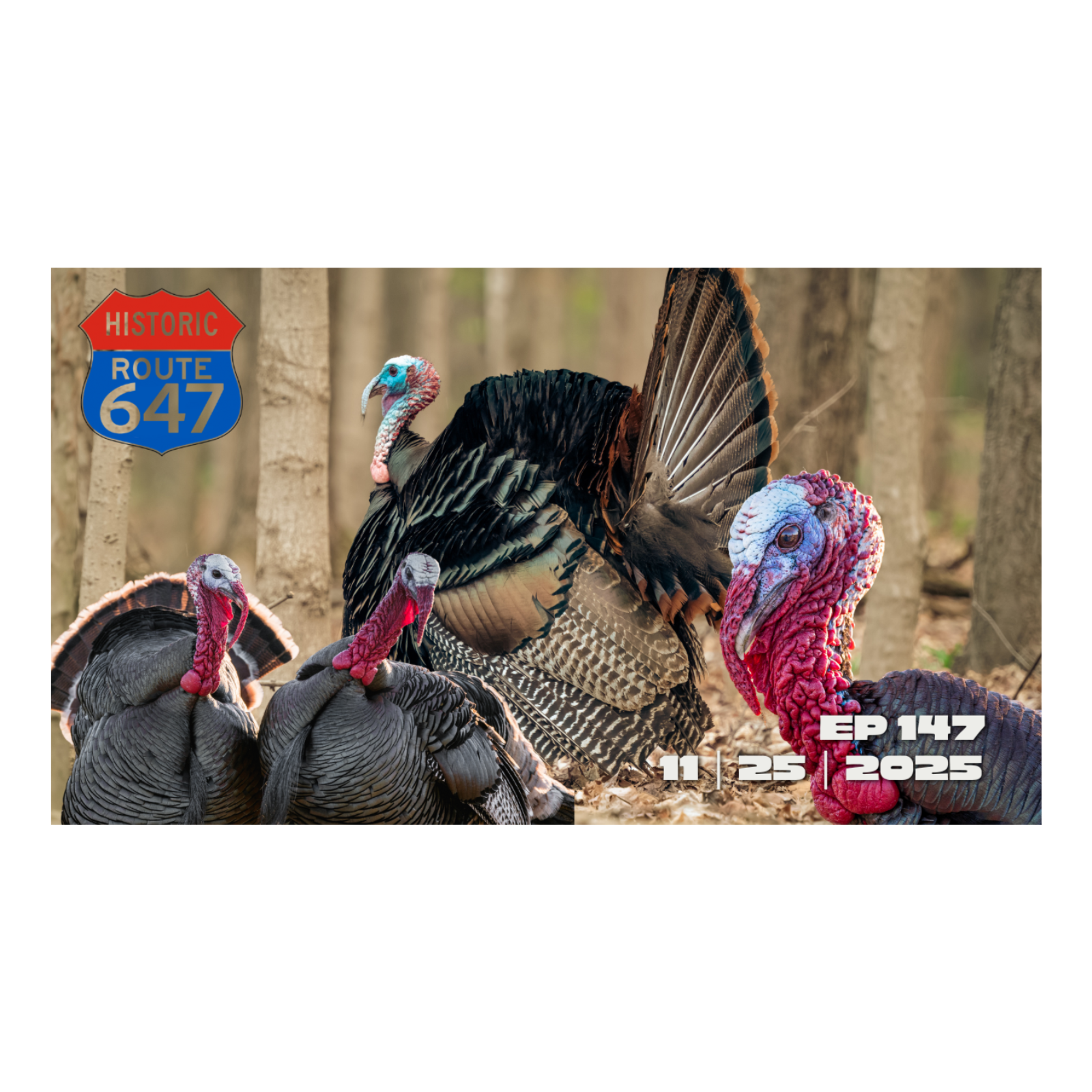 647: Thanksgiving, Coffins, and Deep State Deceit: The Truth They Don’t Want You to See episode artwork