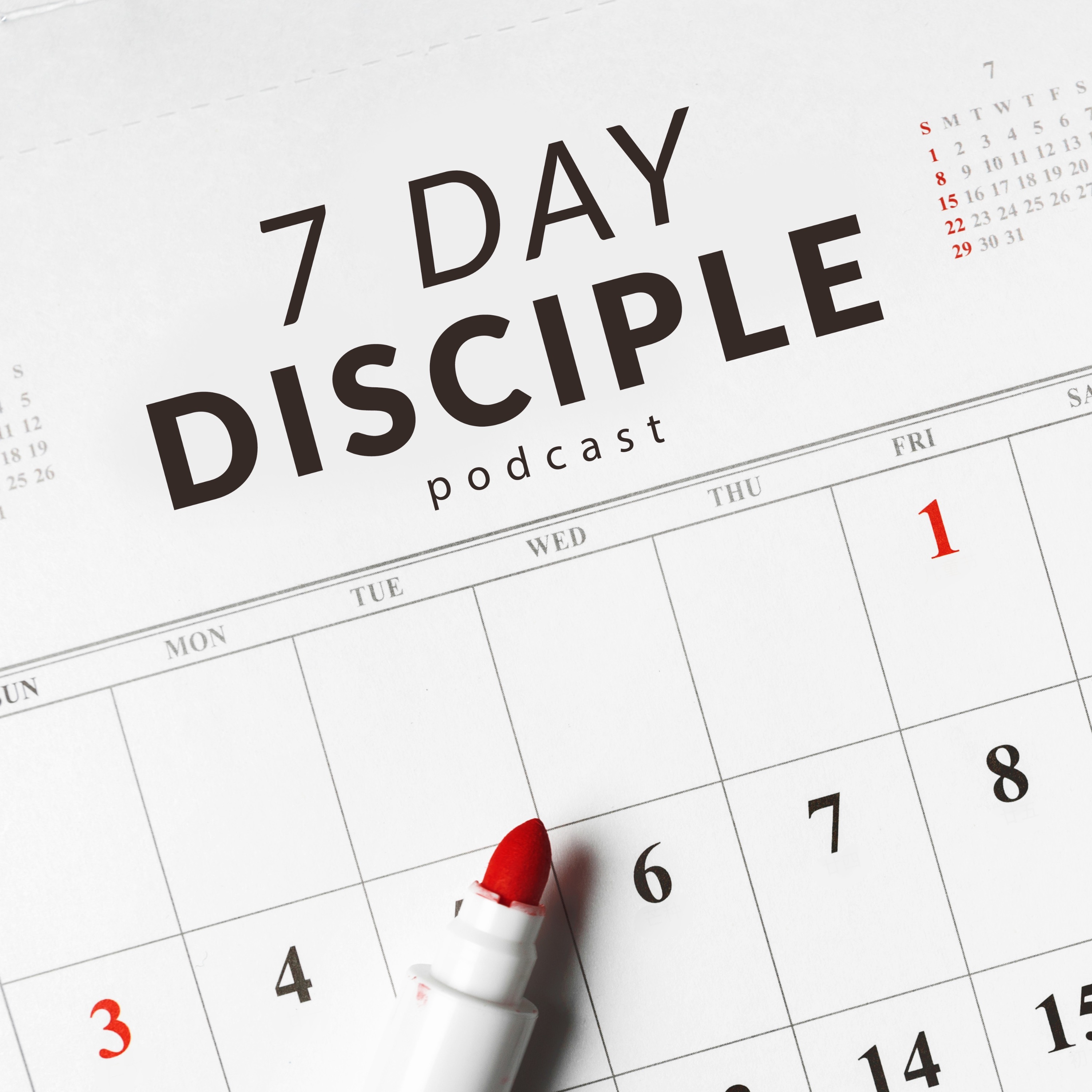 7 Day Disciple
