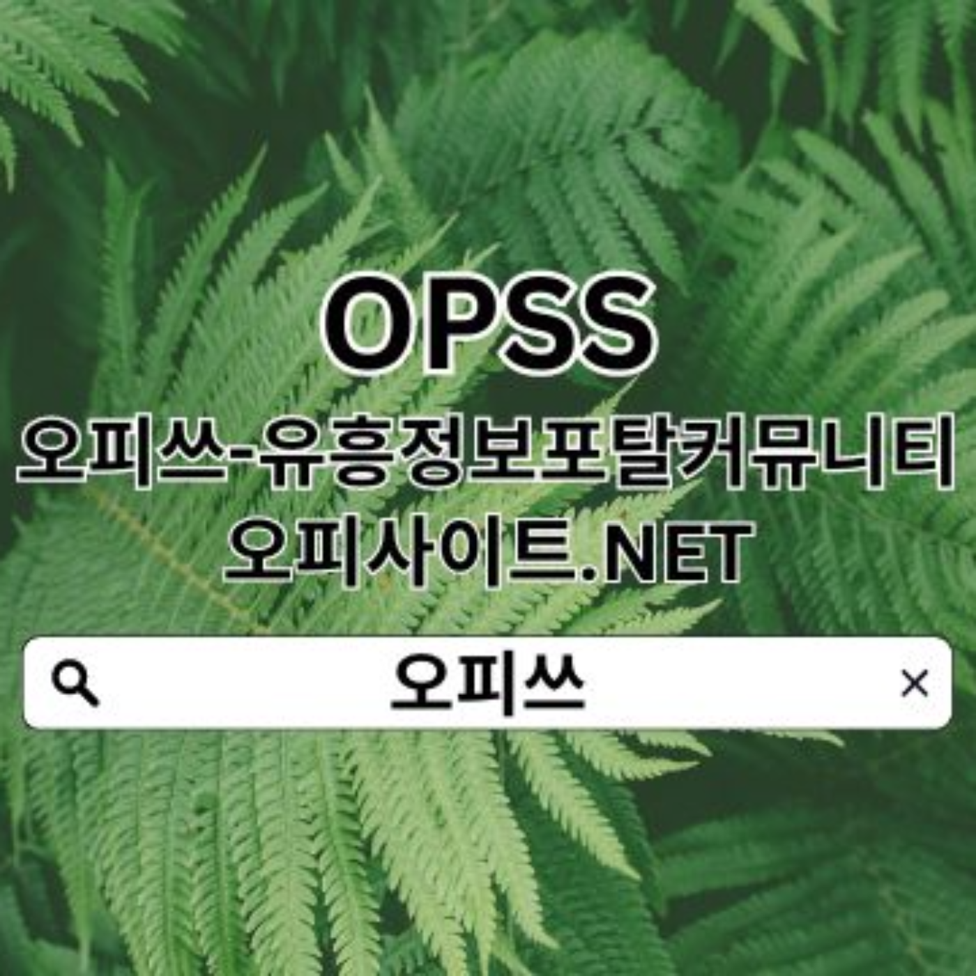강남휴게텔 오피쓰COM 강남op  오피쓰 강남안마╳강남출장마사지ꖤ강남휴게텔ꗼ강남휴게텔 강남키스방