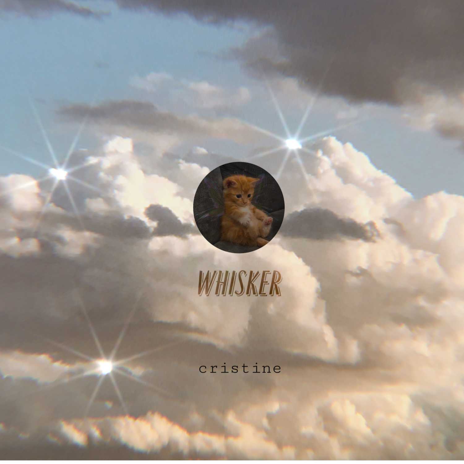Whisker