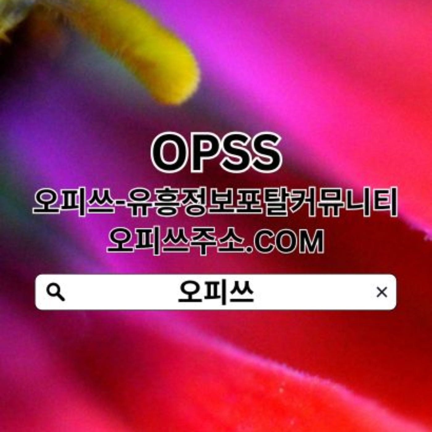 청주OP 오피쓰주소.ᑕ0ᗰ 청주휴게텔 (오피쓰) 청주출장마사지▲청주OP 청주오피청주건마