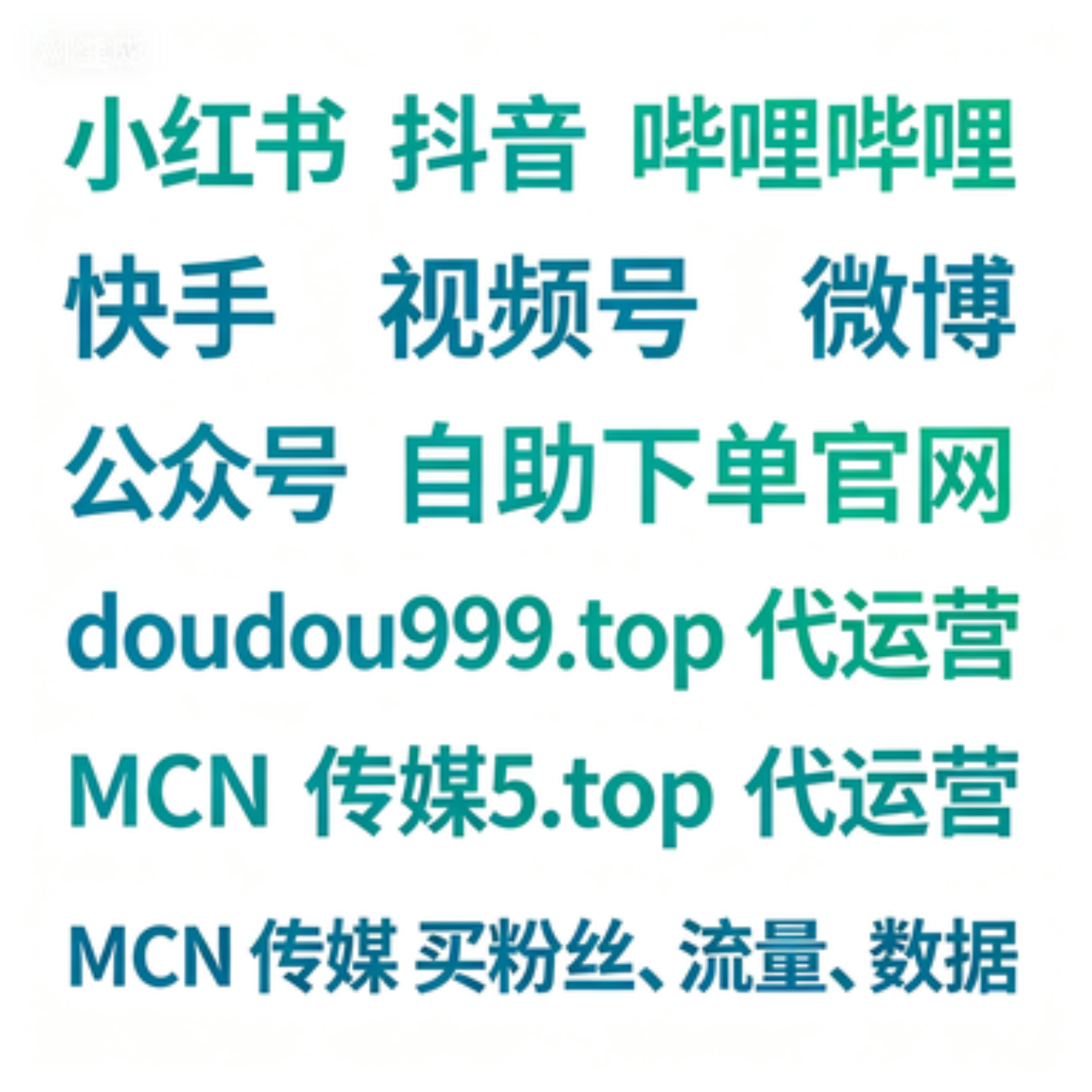 抖音涨粉丝下单平台 www.doudou999.top 网站入口,专业流量提升解决方案服务商