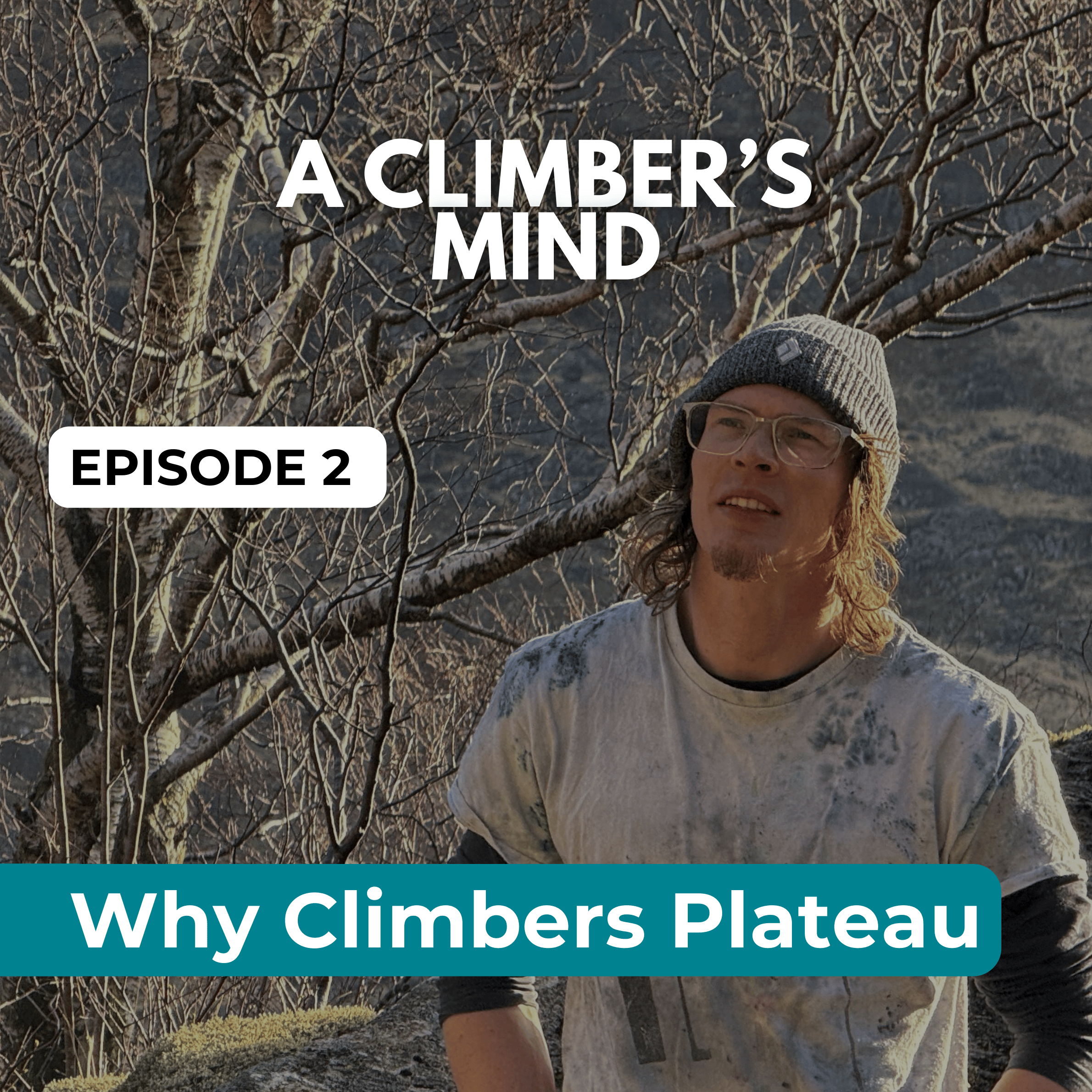 Why Climbers Plateau episode artwork