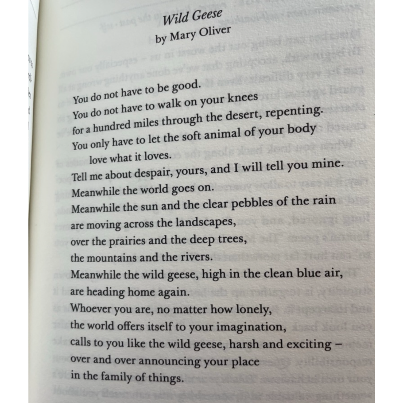 A Conversation with Ollie Mitchell about Poetry & Social Media